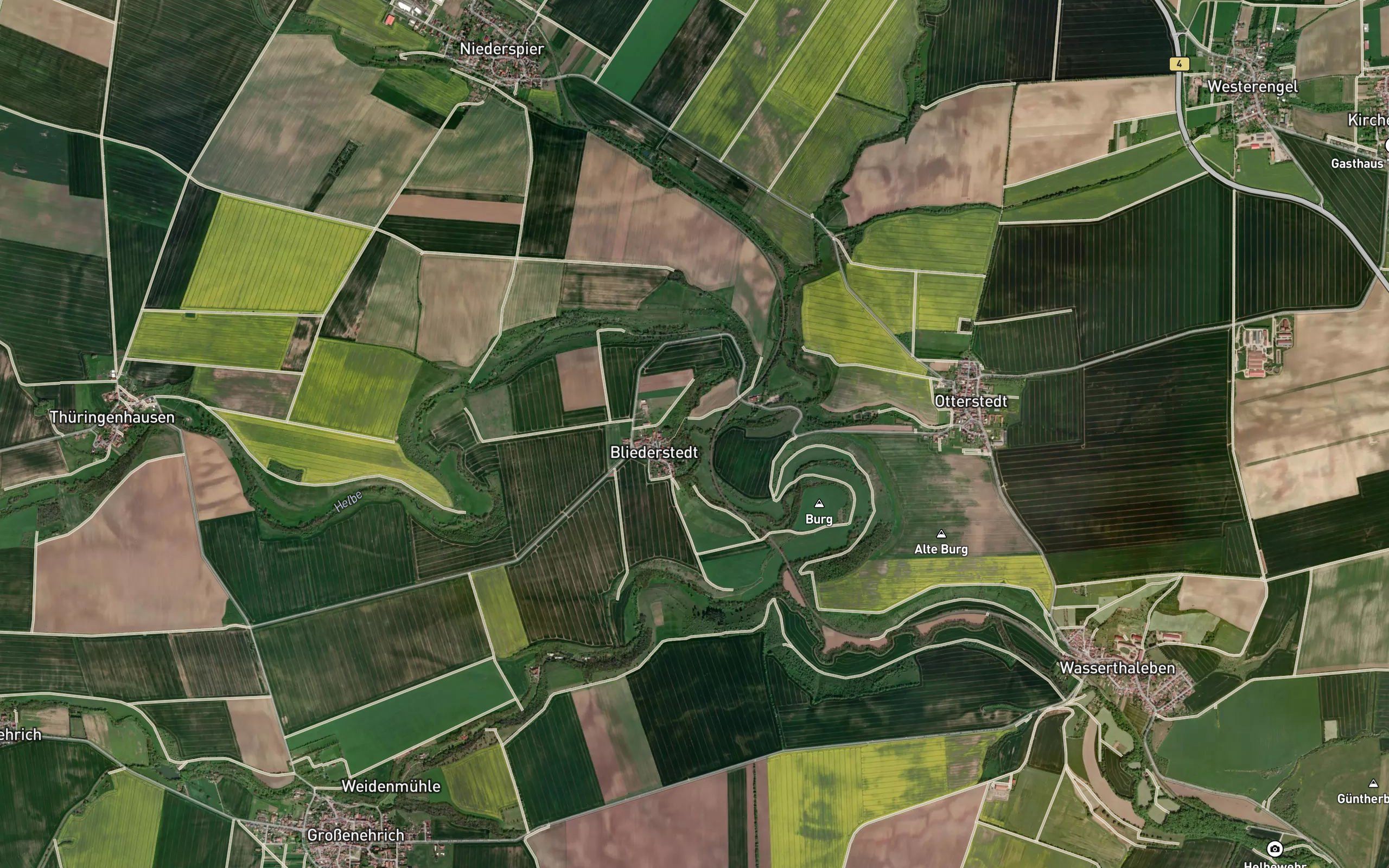 Sumpfbach