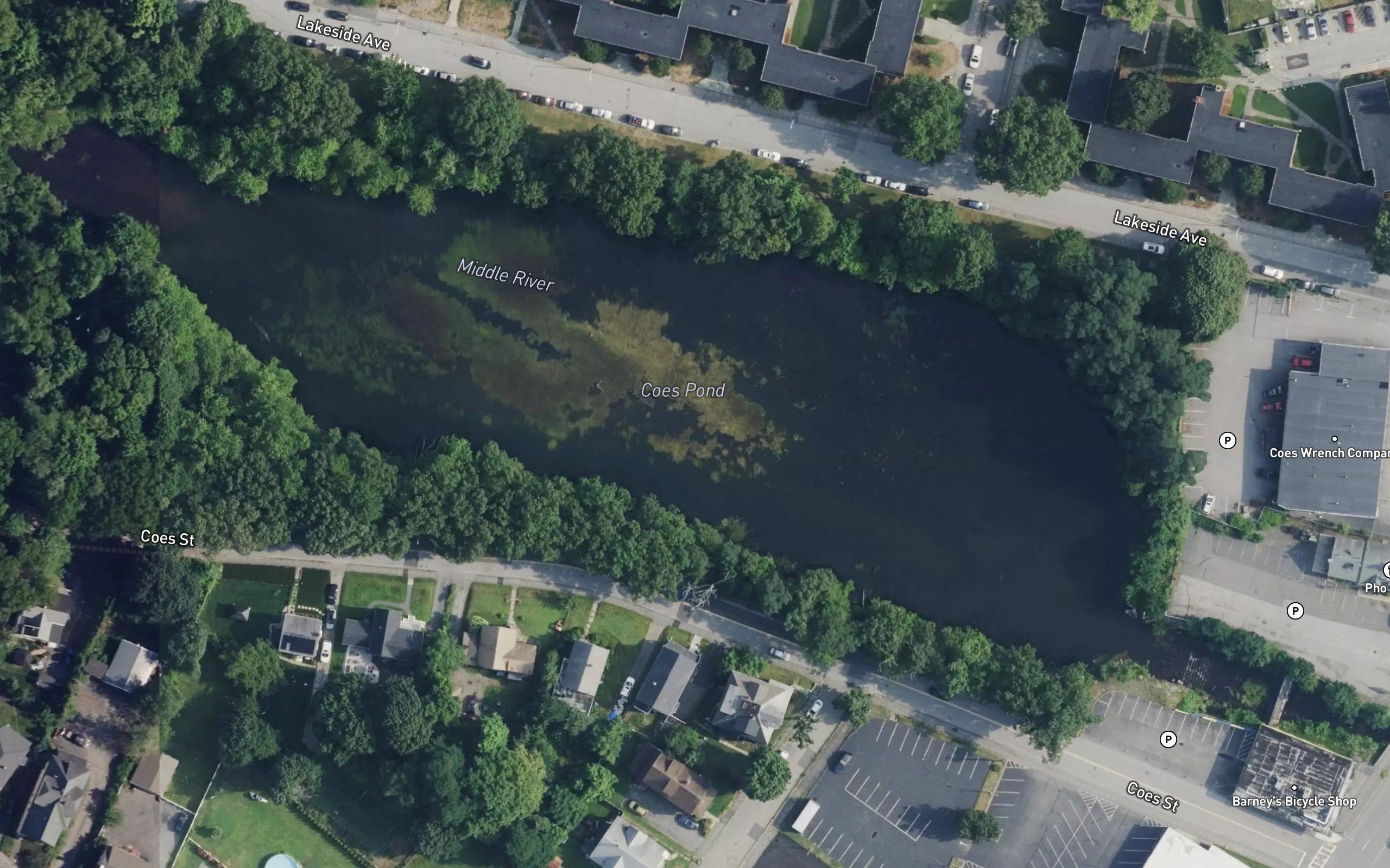 Coes Pond