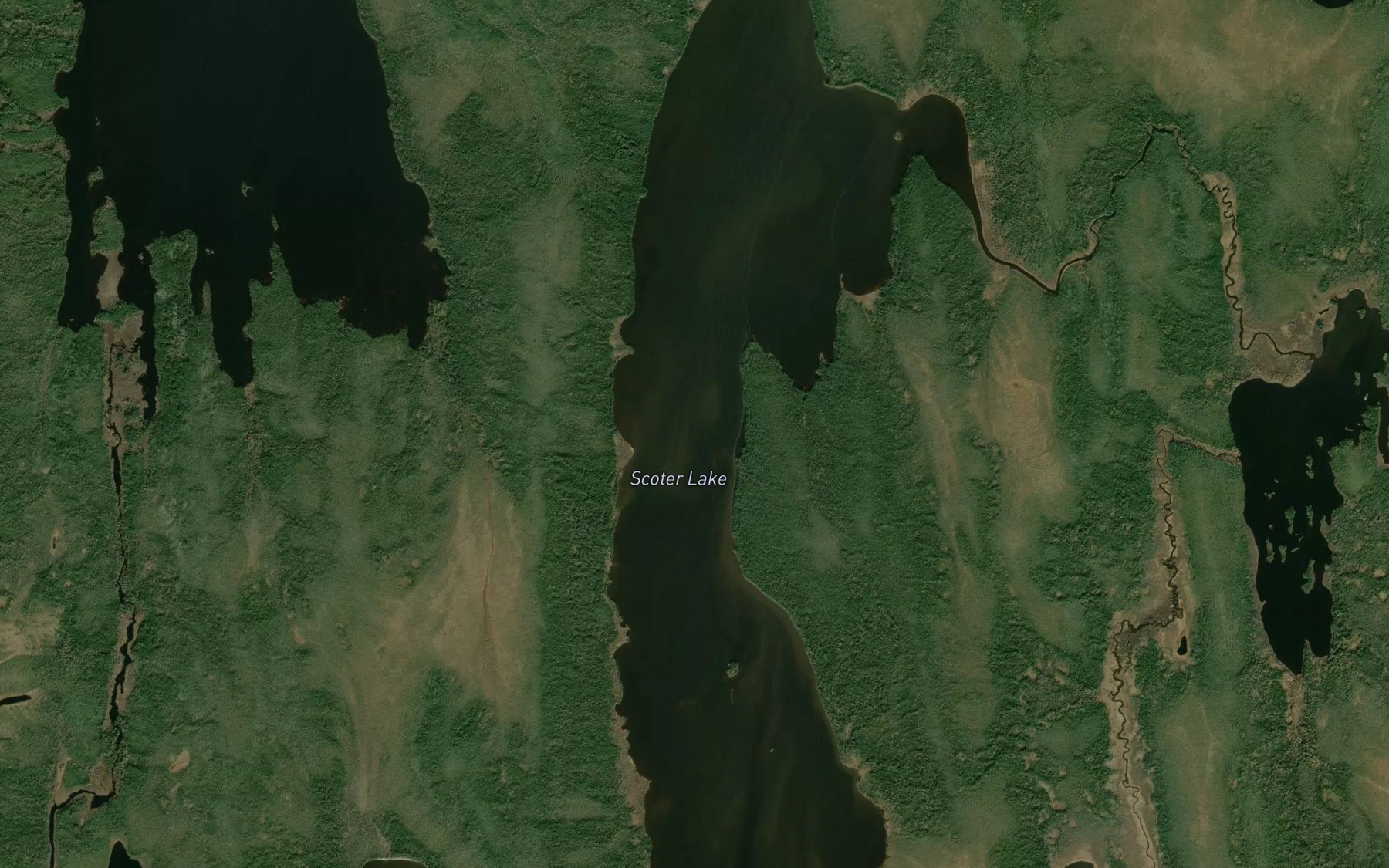 Satellite map of the Scoter Lake