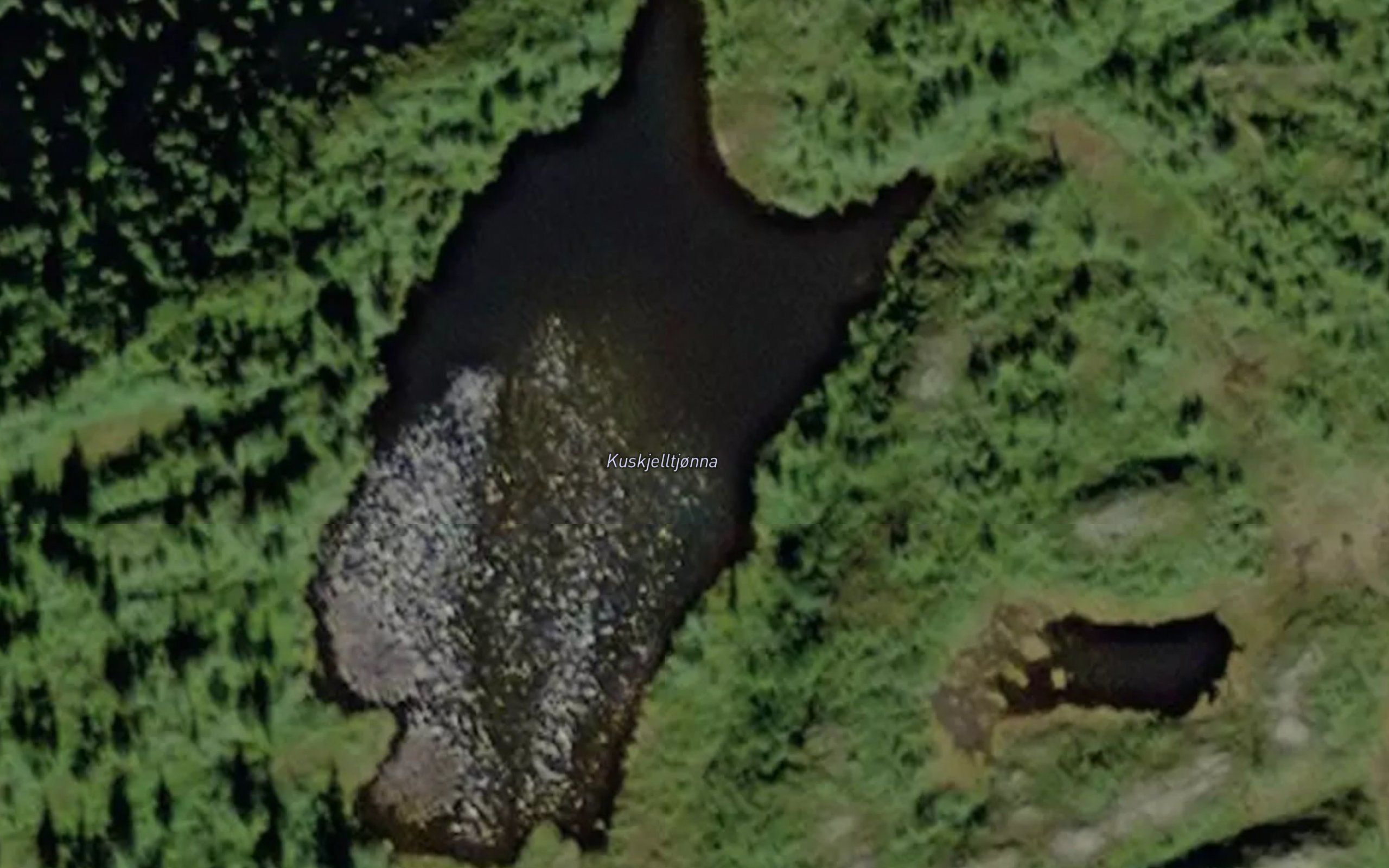 Kuskjelltjonna