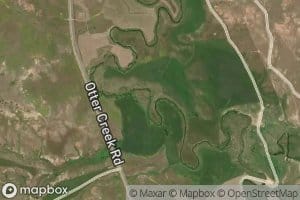 Chromo Creek