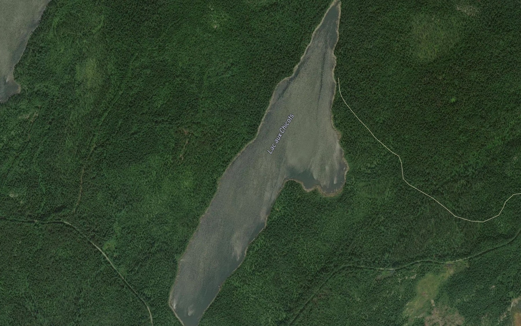 Satellite map of the Lac aux Chicots