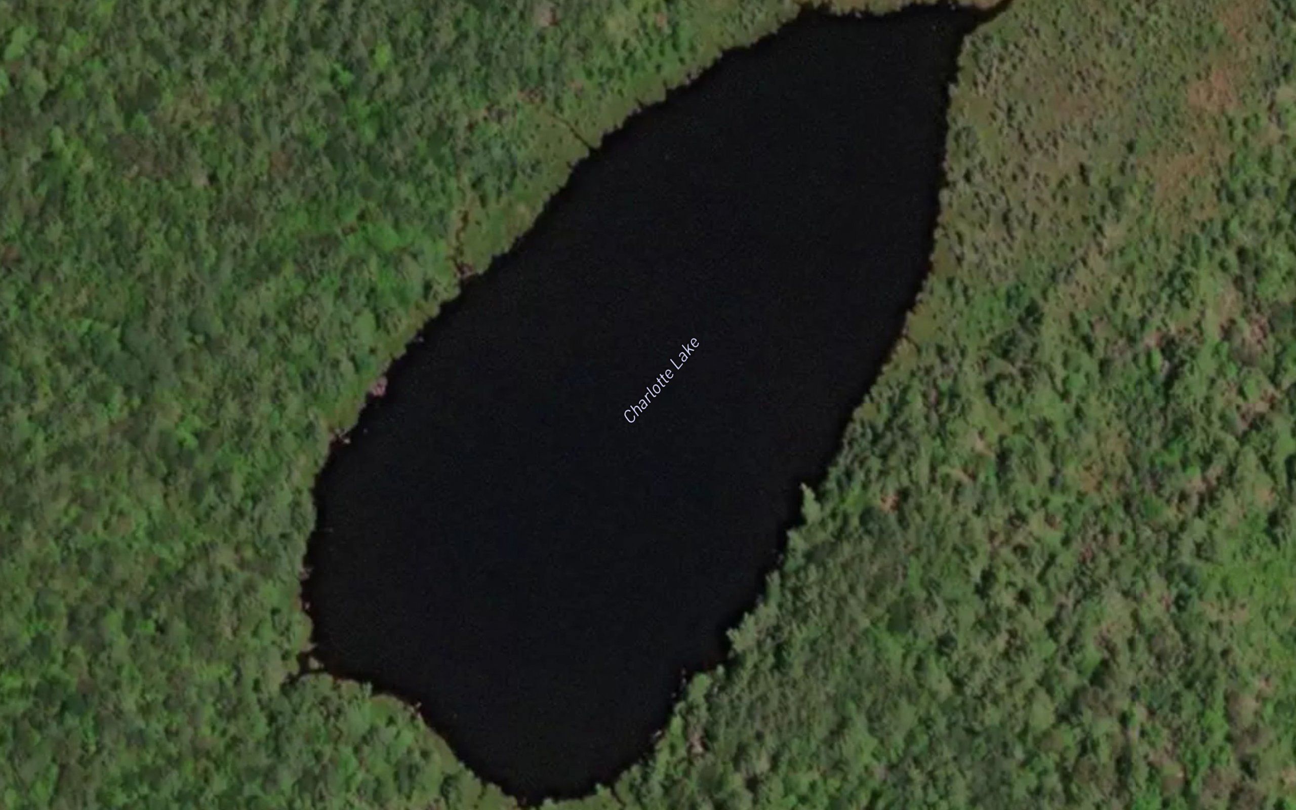 Charlotte Lake