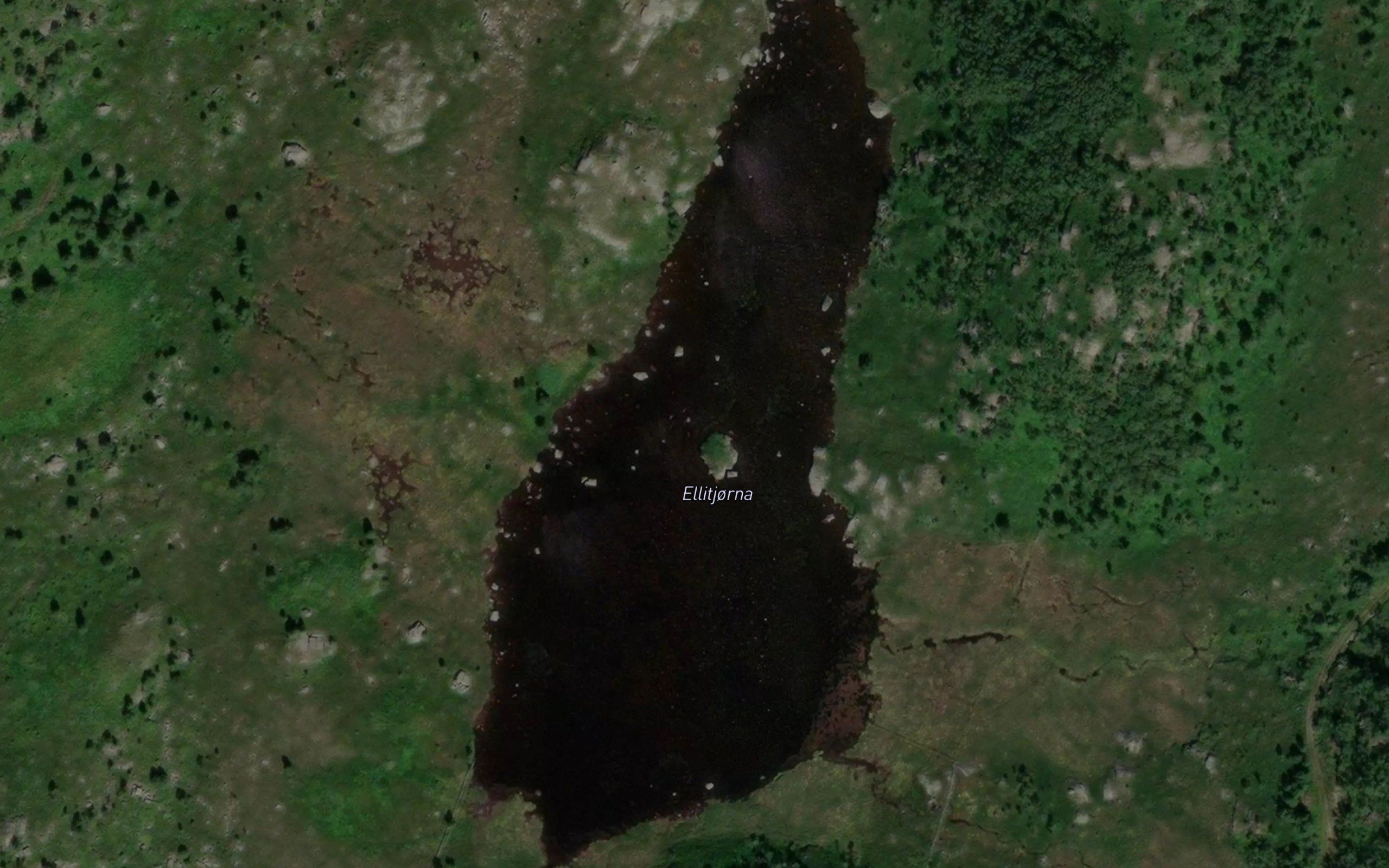 Ellitjorna