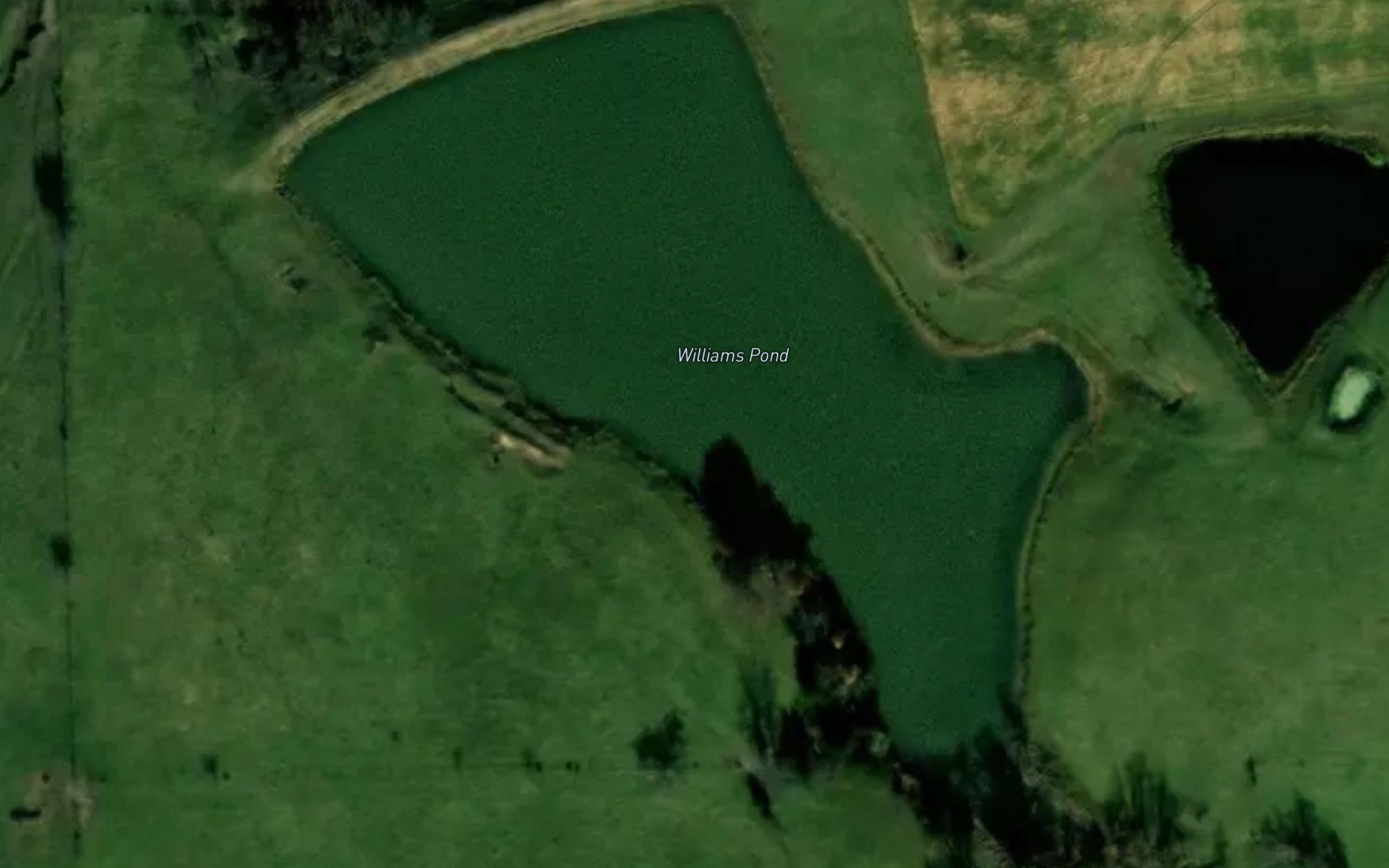 Williams Pond