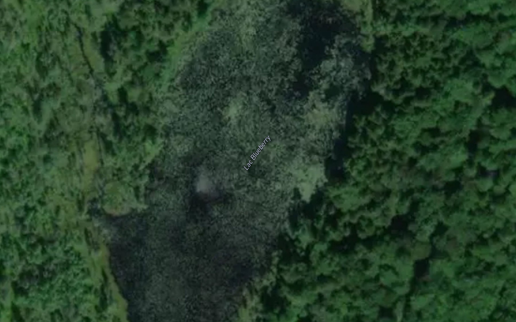 Satellite map of the Lac Blueberry