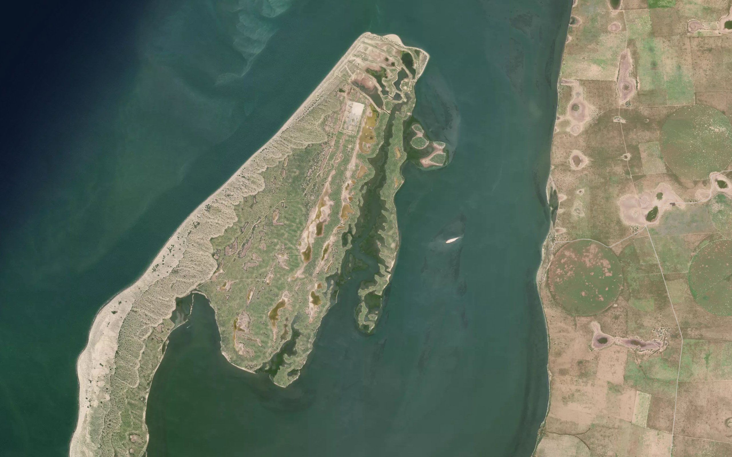 Estero Tamecancari