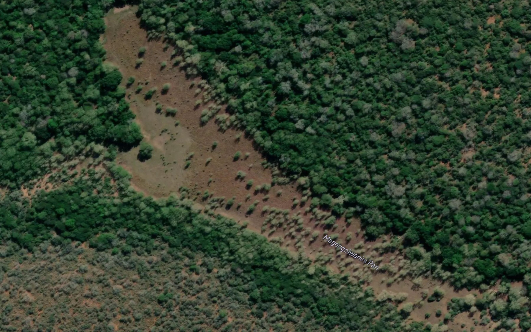Satellite map of the Magongolwanini