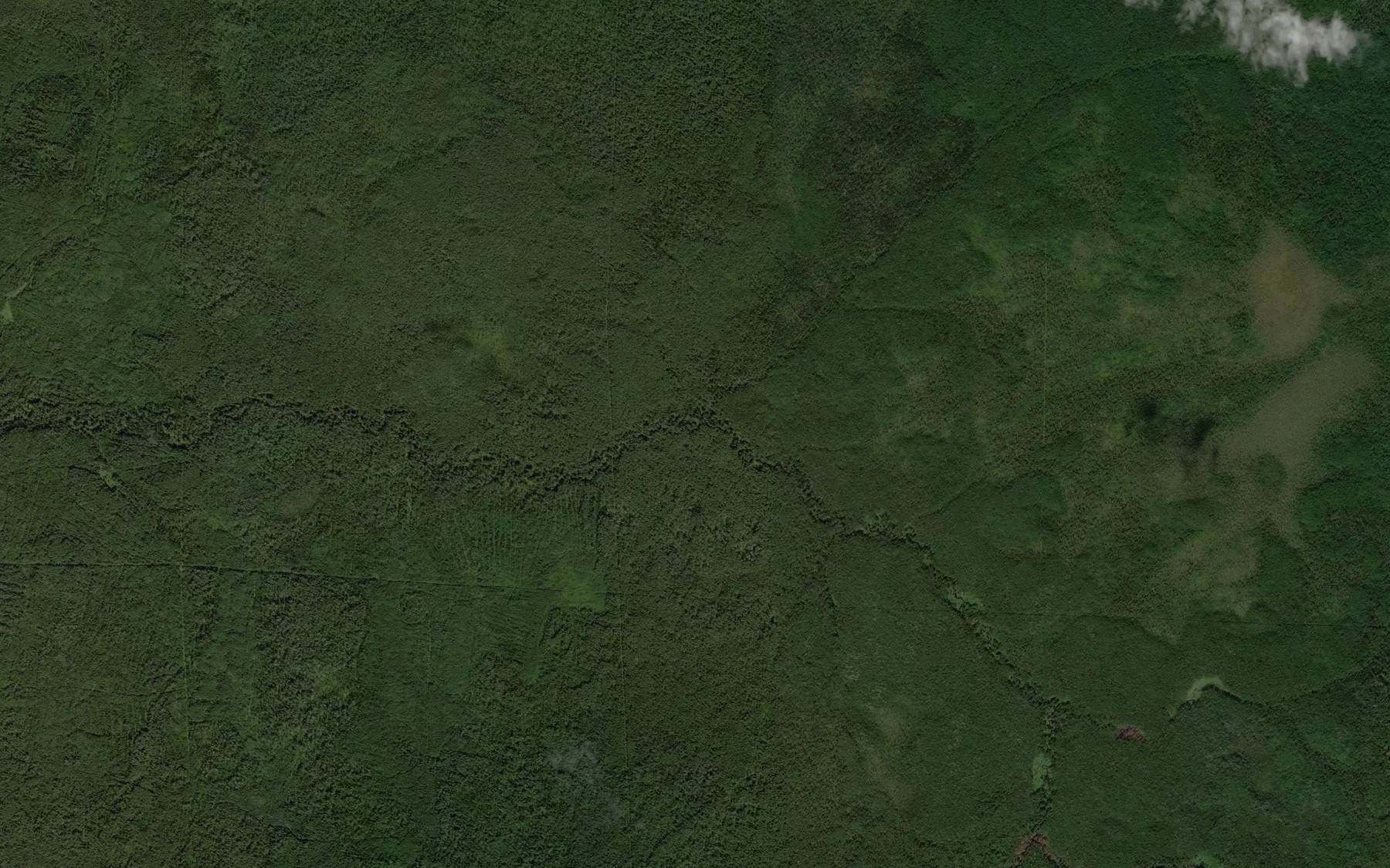 Satellite map of the Malaya Vona