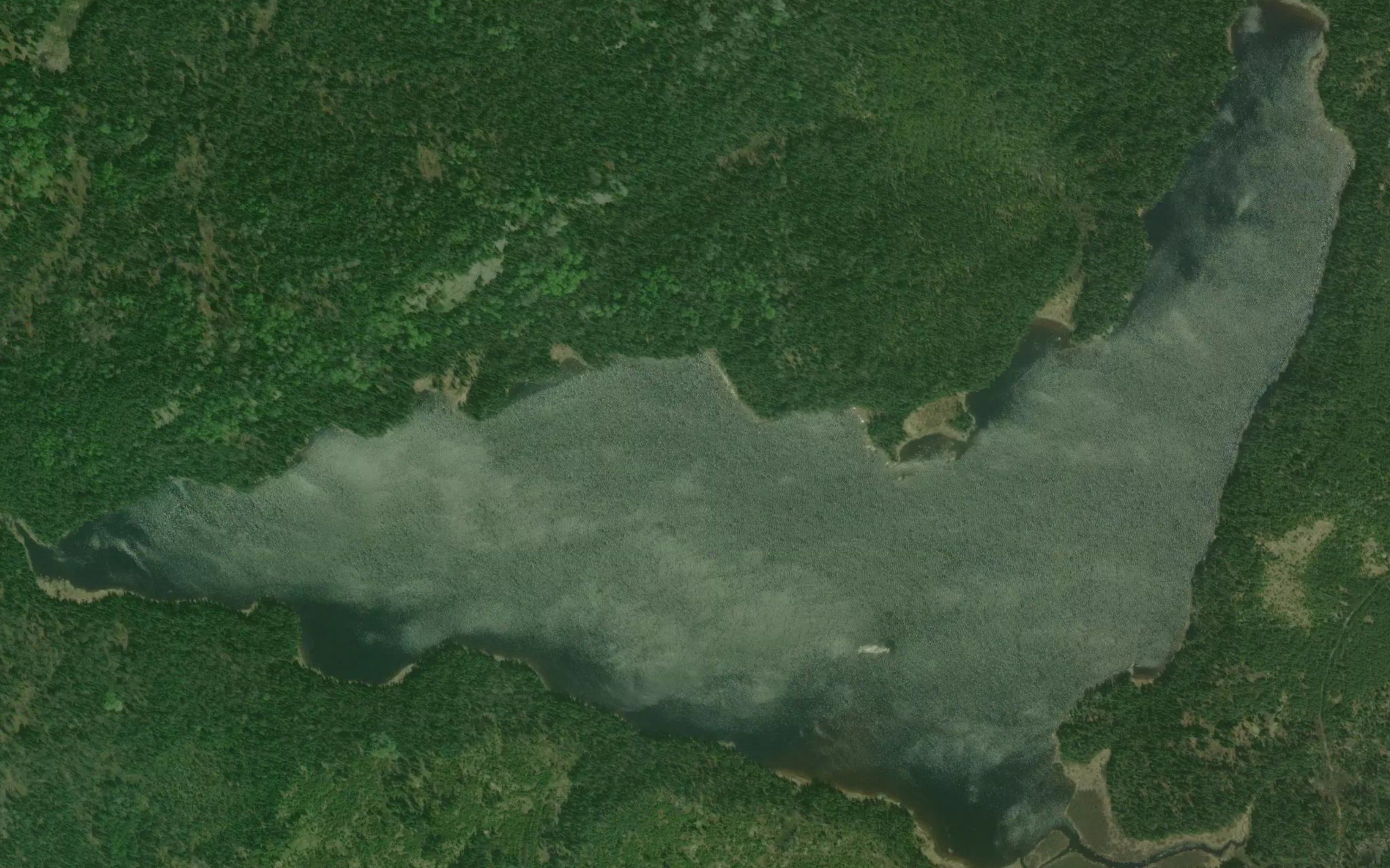 Thrush Lake