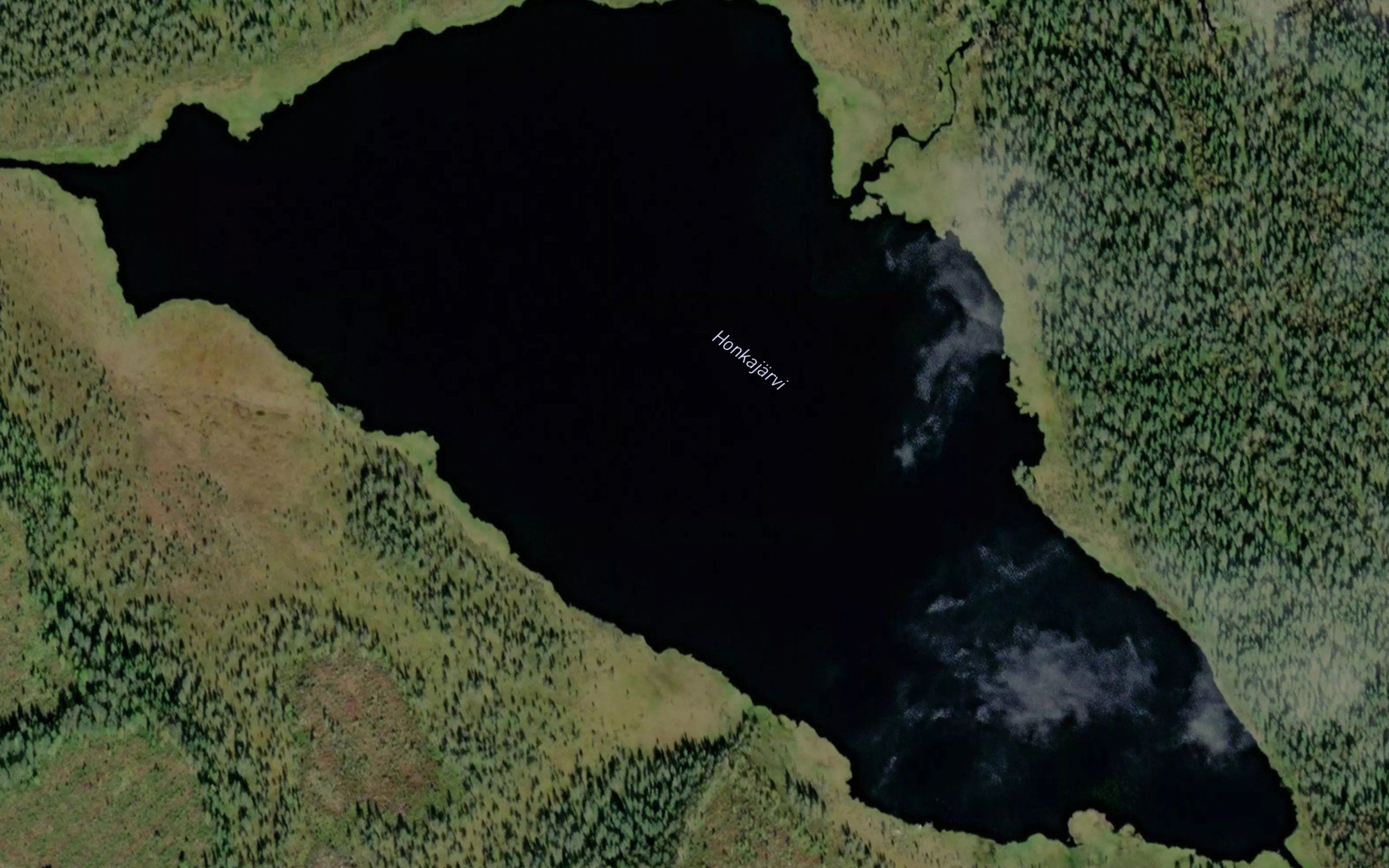 Honkajarvi