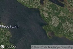 Moss Lake