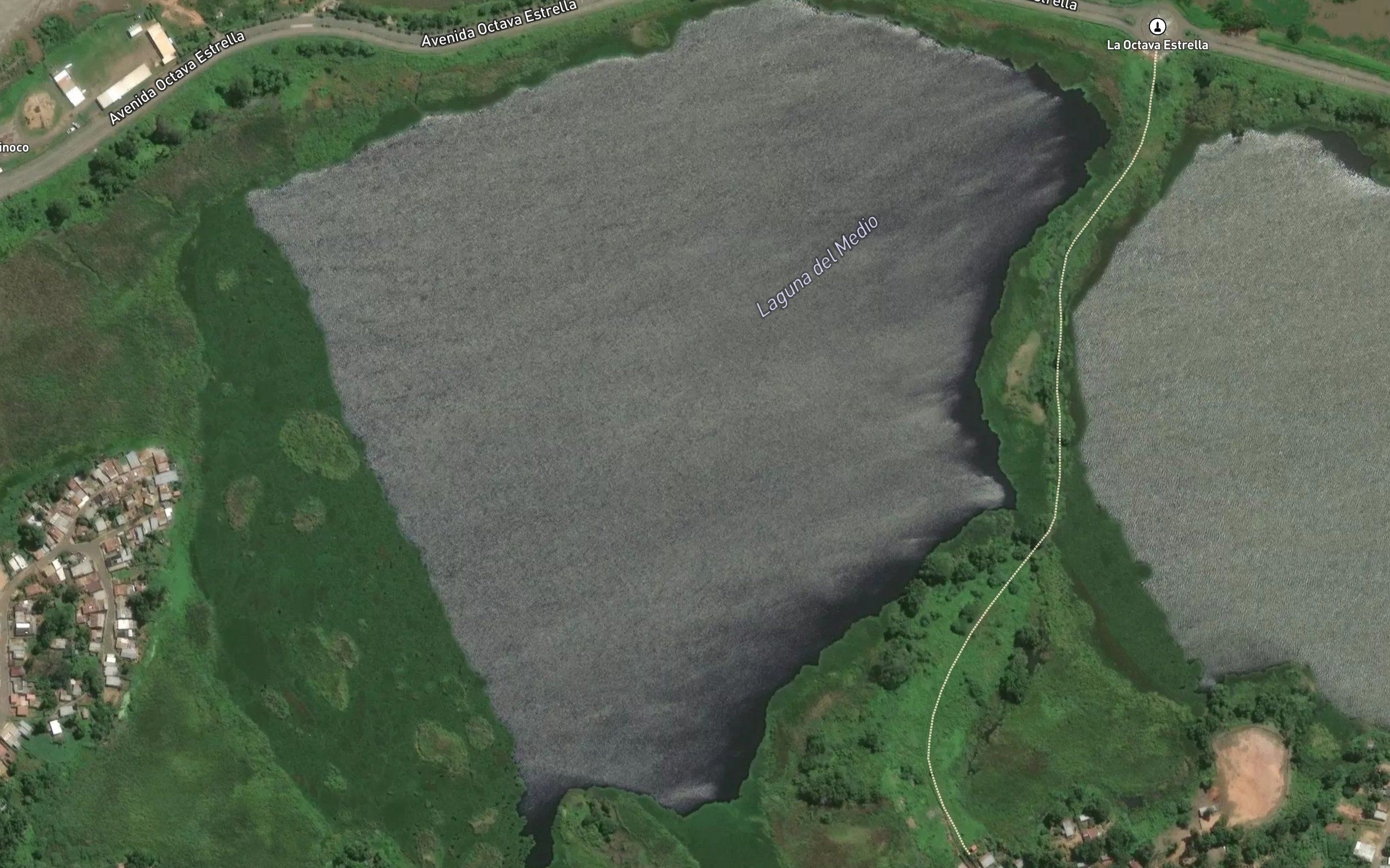 Laguna del Medio