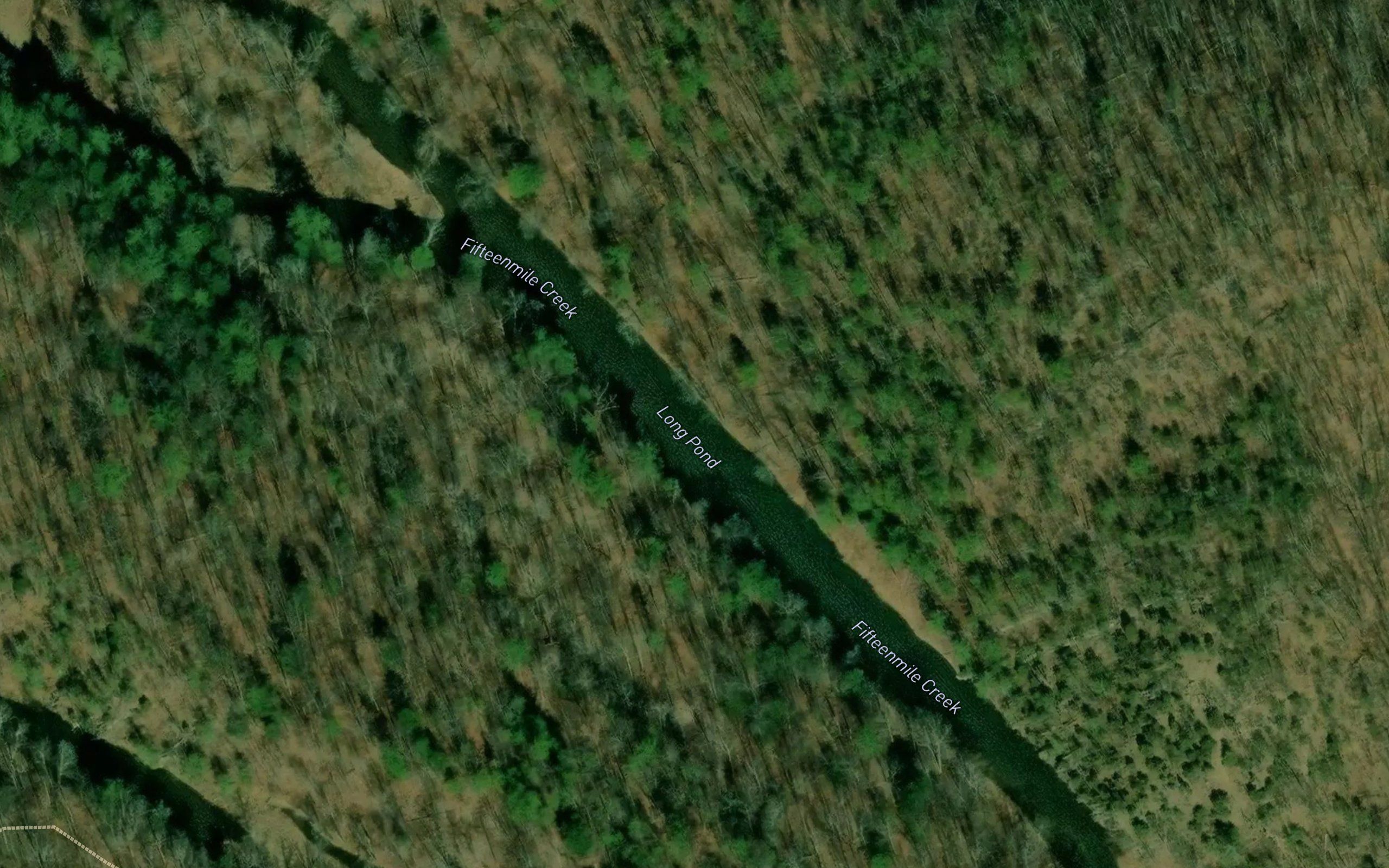 Long Pond