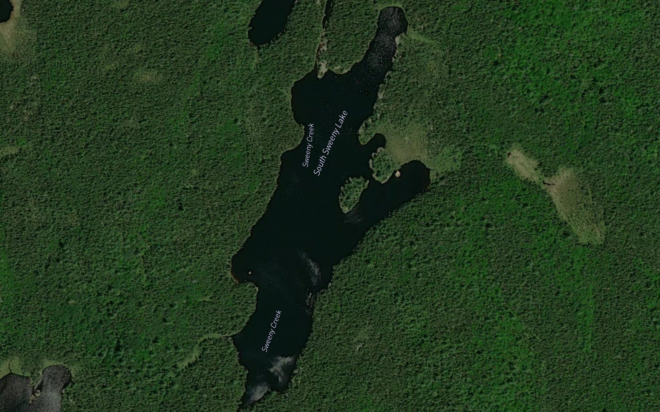 South Sweeny Lake