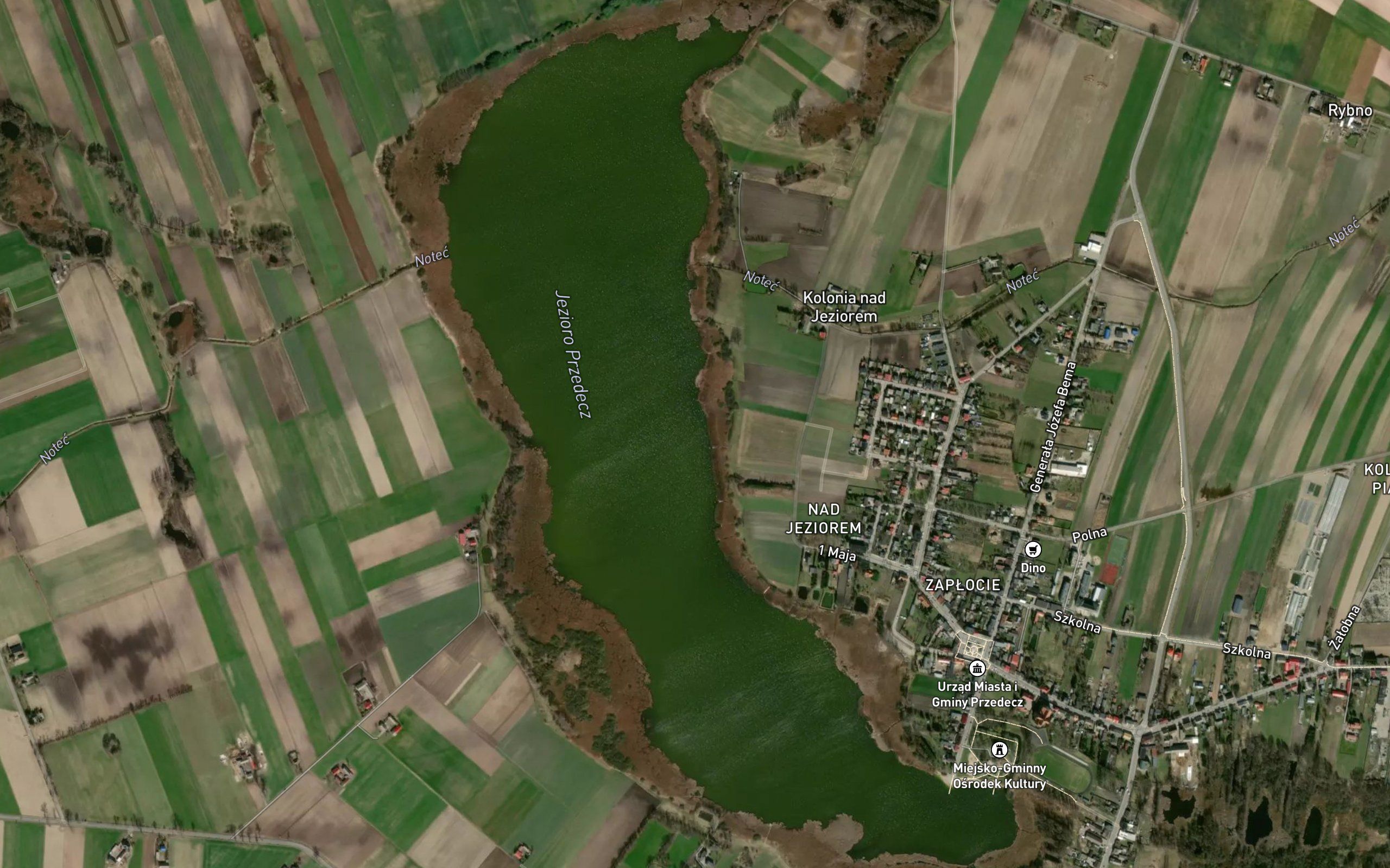 Jezioro Przedecz