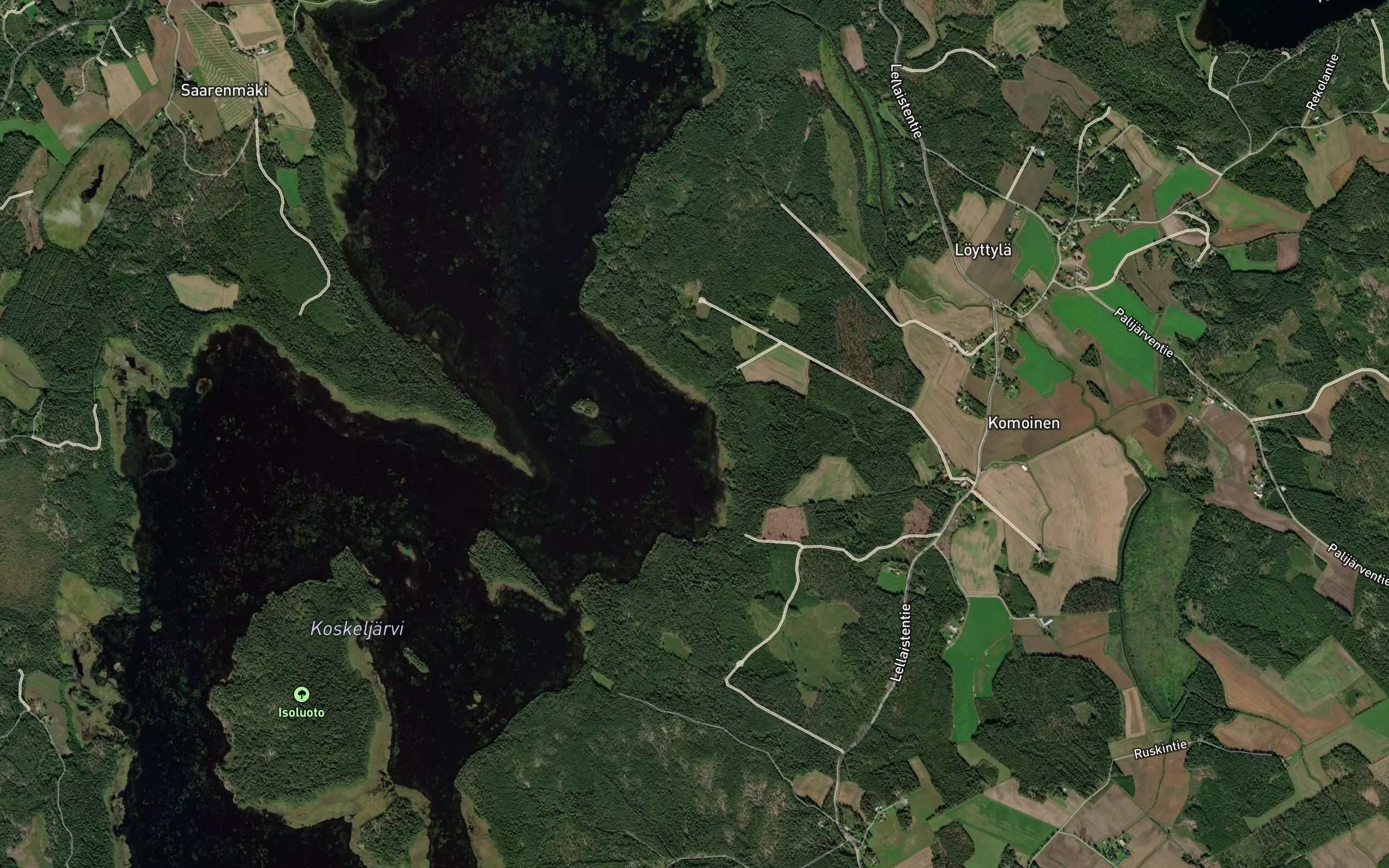 Tadinniitunlahti