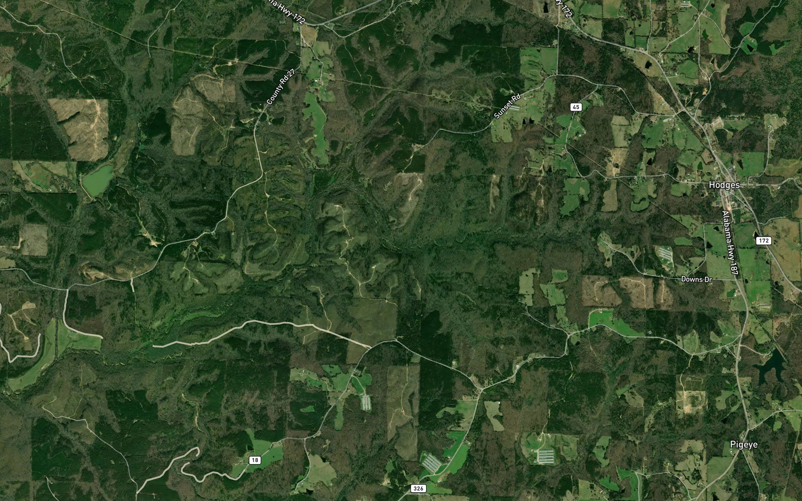 Walt Davis Spring Branch