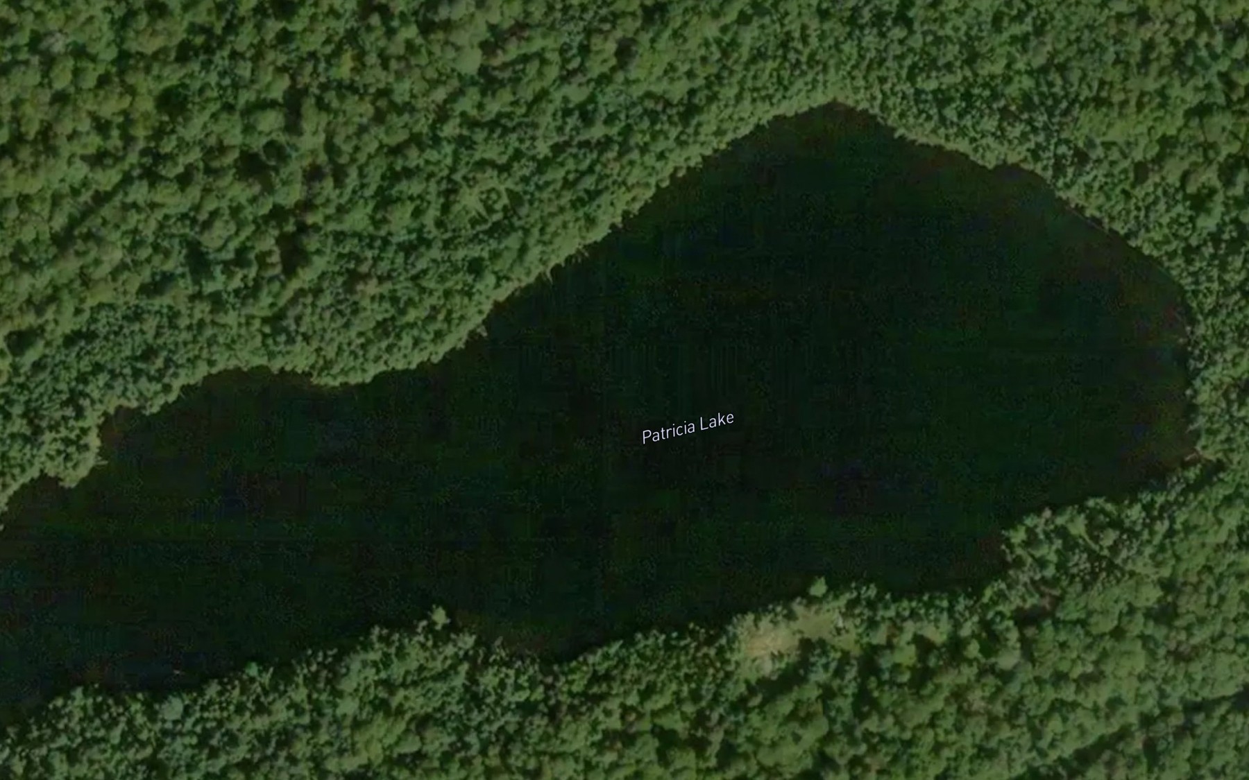 Satellite map of the Patricia Lake