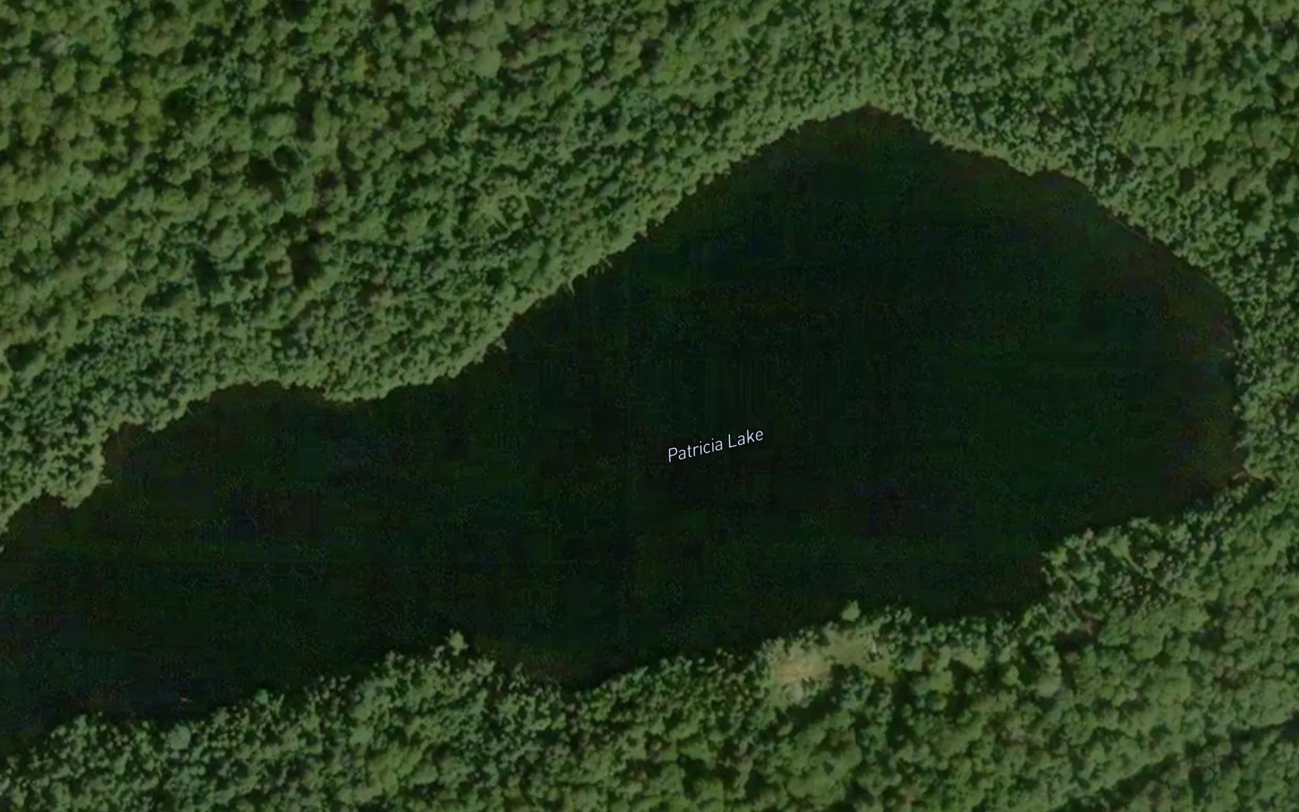Patricia Lake