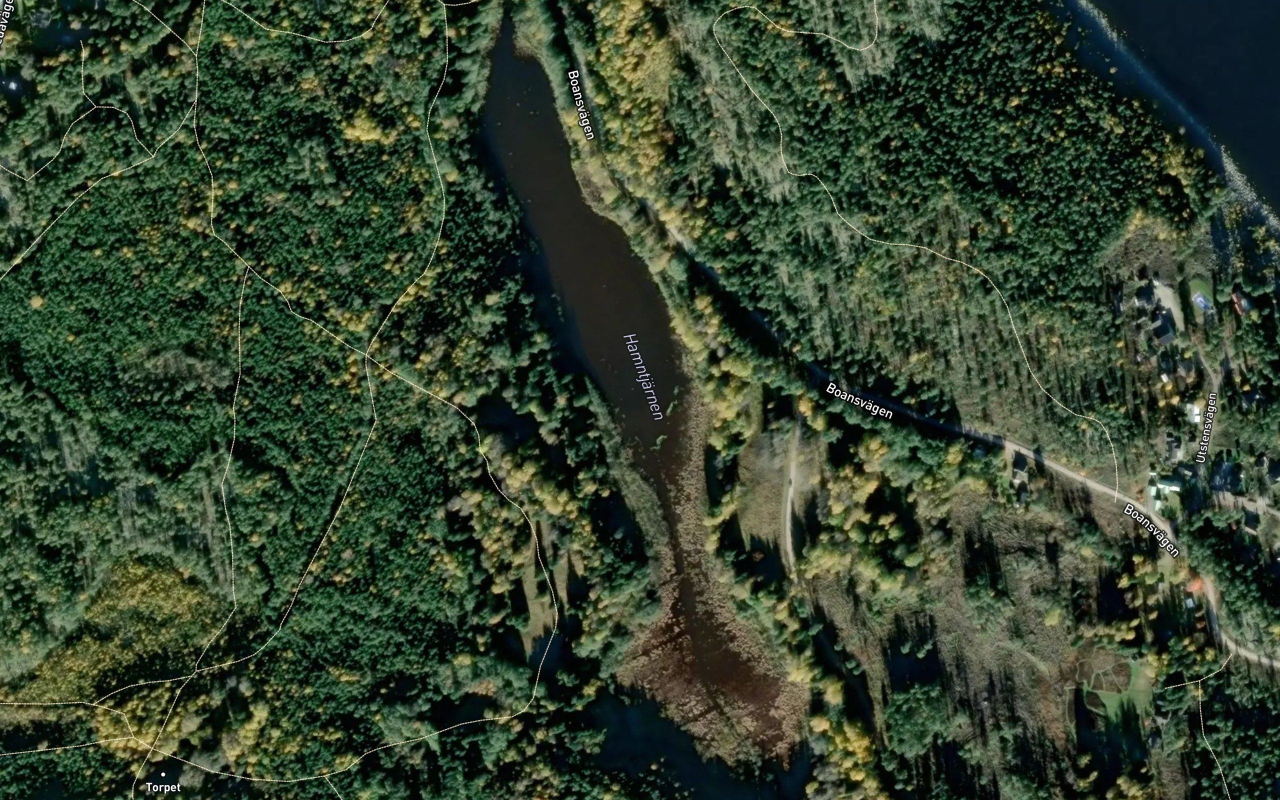 Hamntjaernen