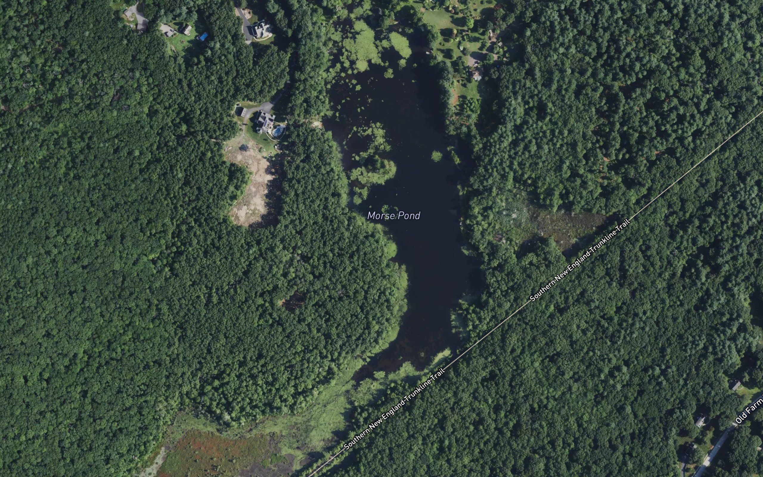 Morse Pond