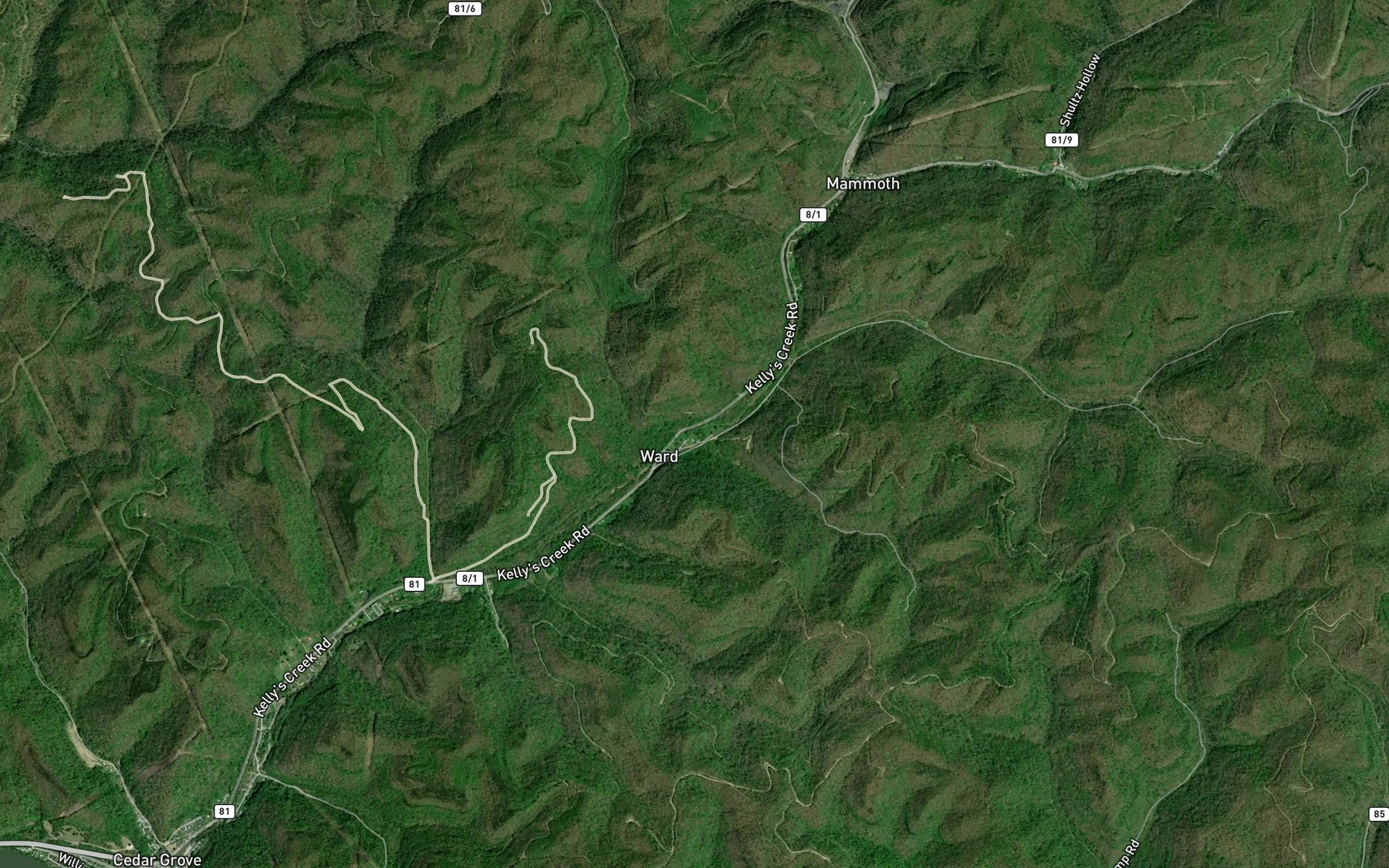 Satellite map of the Fourmile Fork