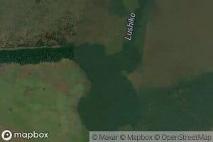 Camaiala