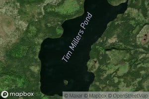 Tim Millers Pond