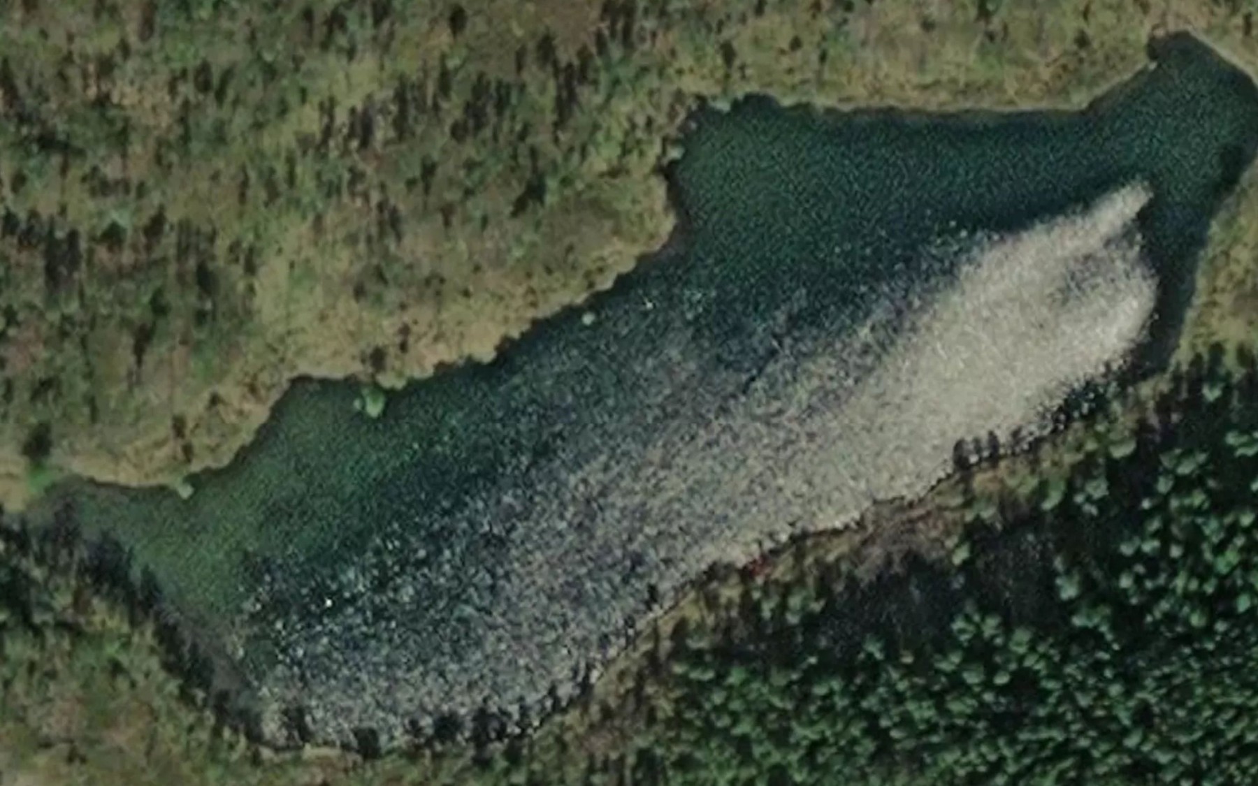 Satellite map of the Tomasvatnet