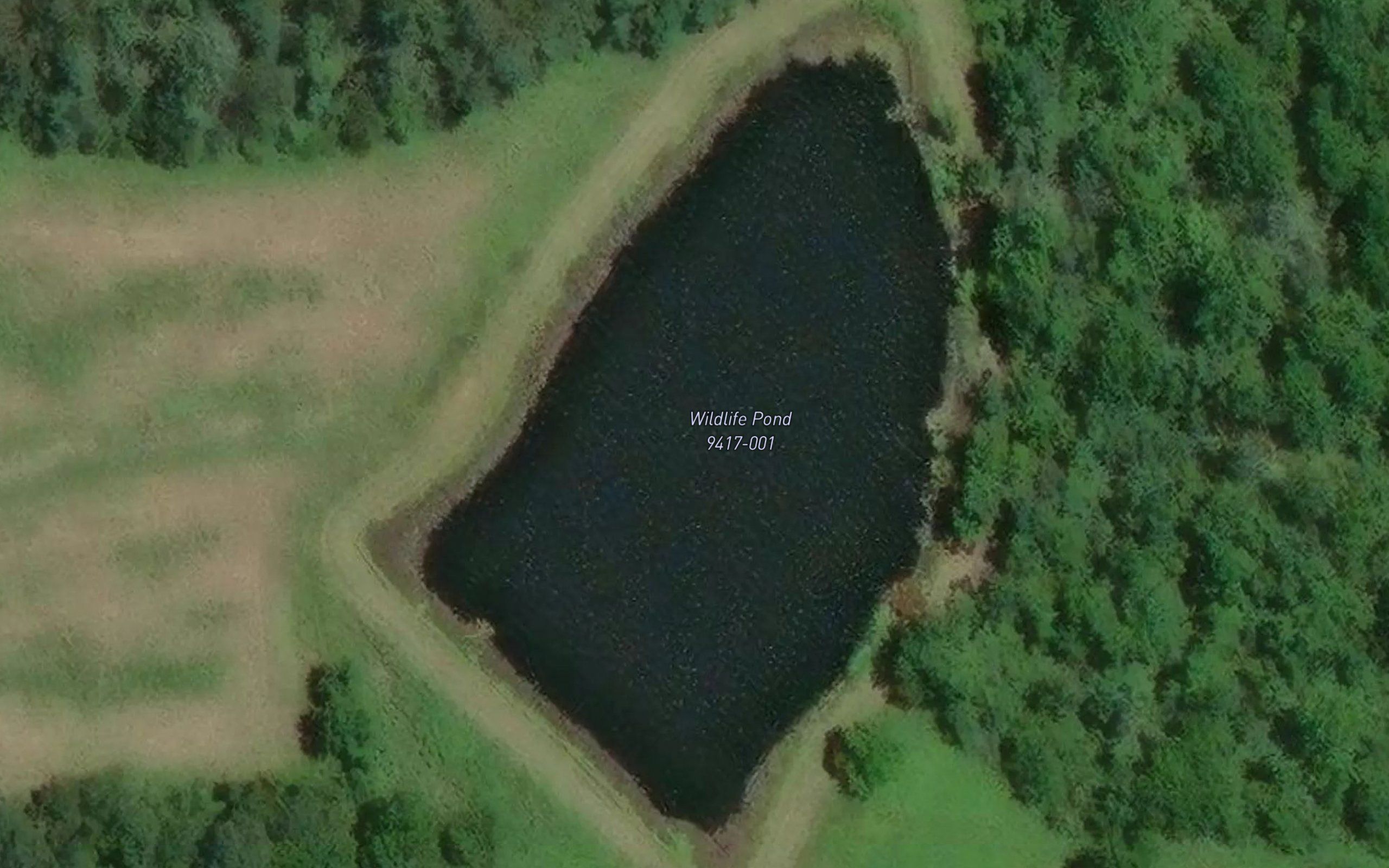 Wildlife Pond 9417-001