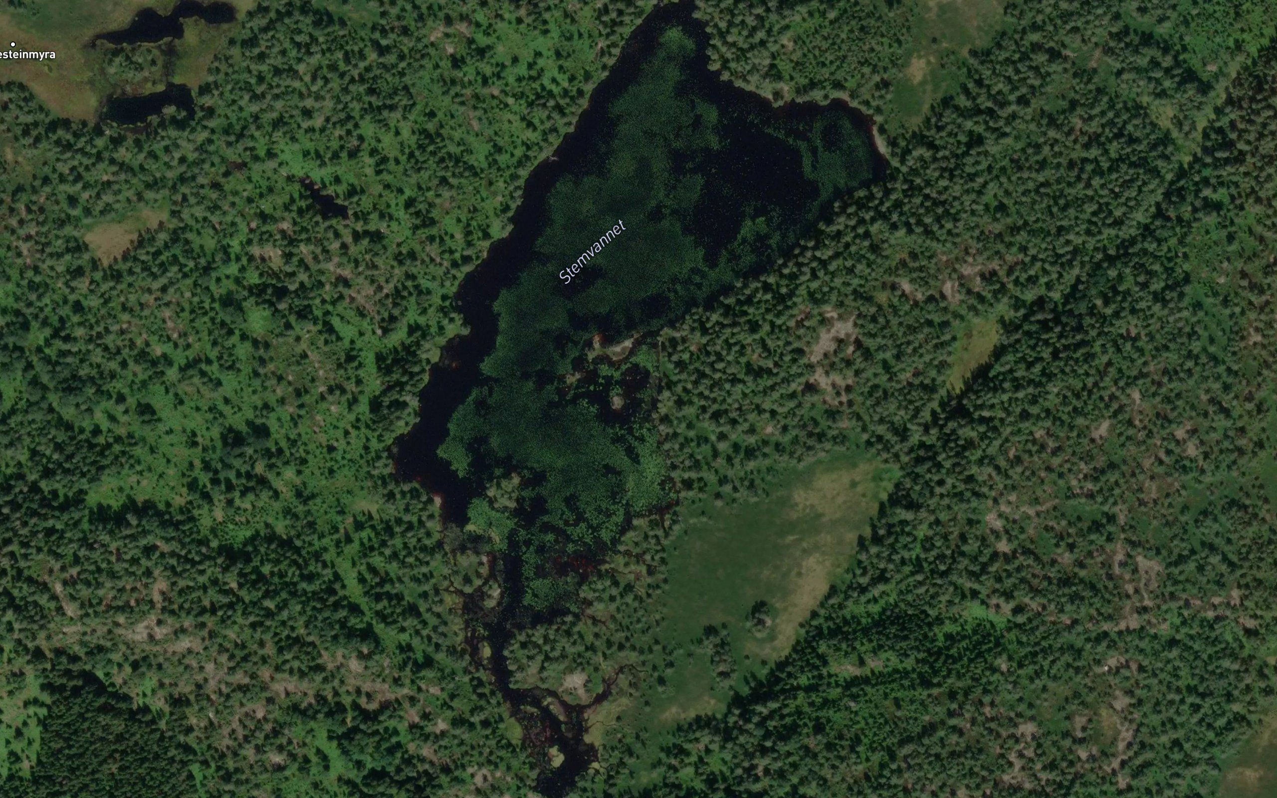 Stemvatnet