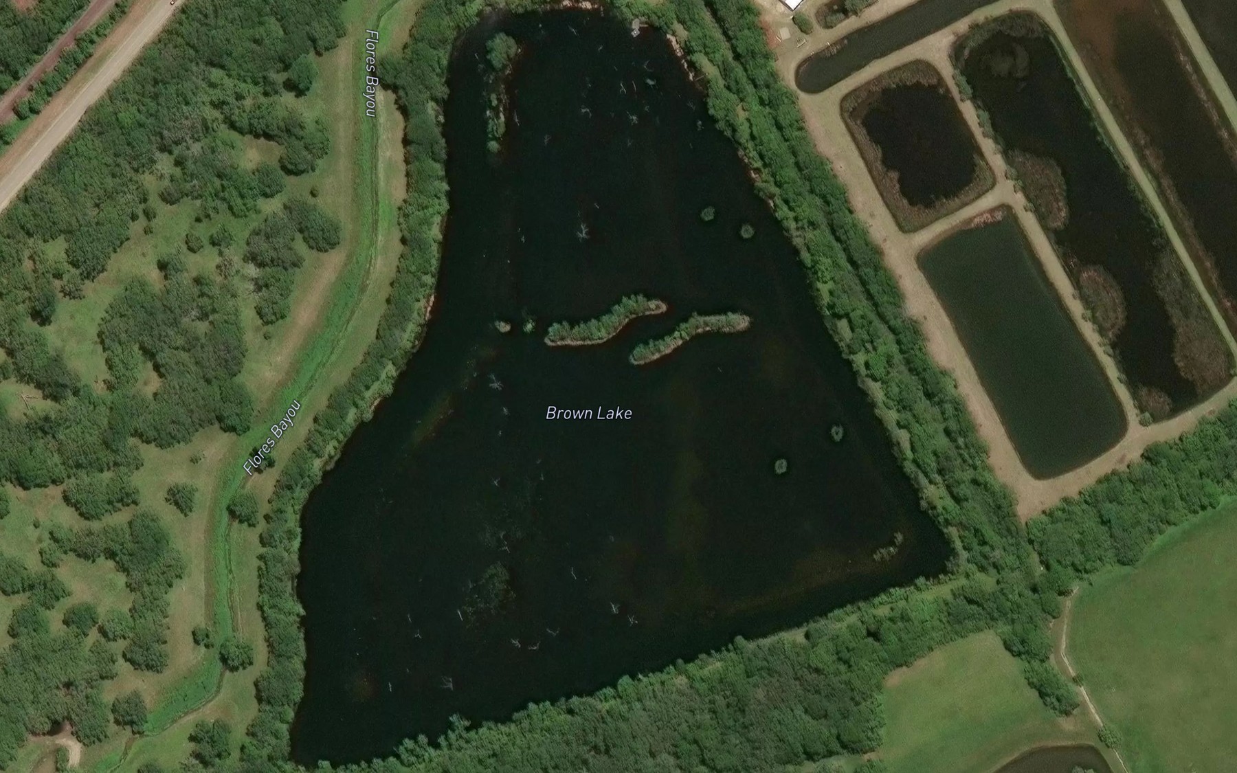 Satellite map of the Brown Lake