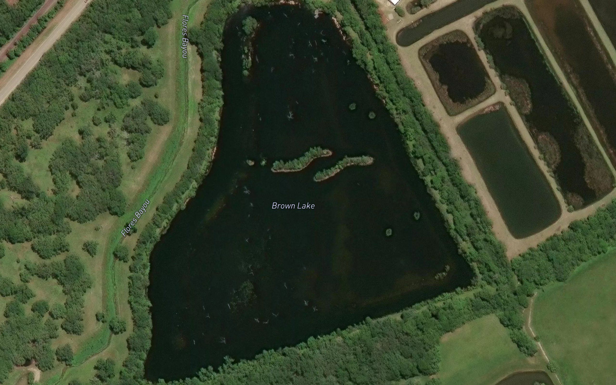 Brown Lake