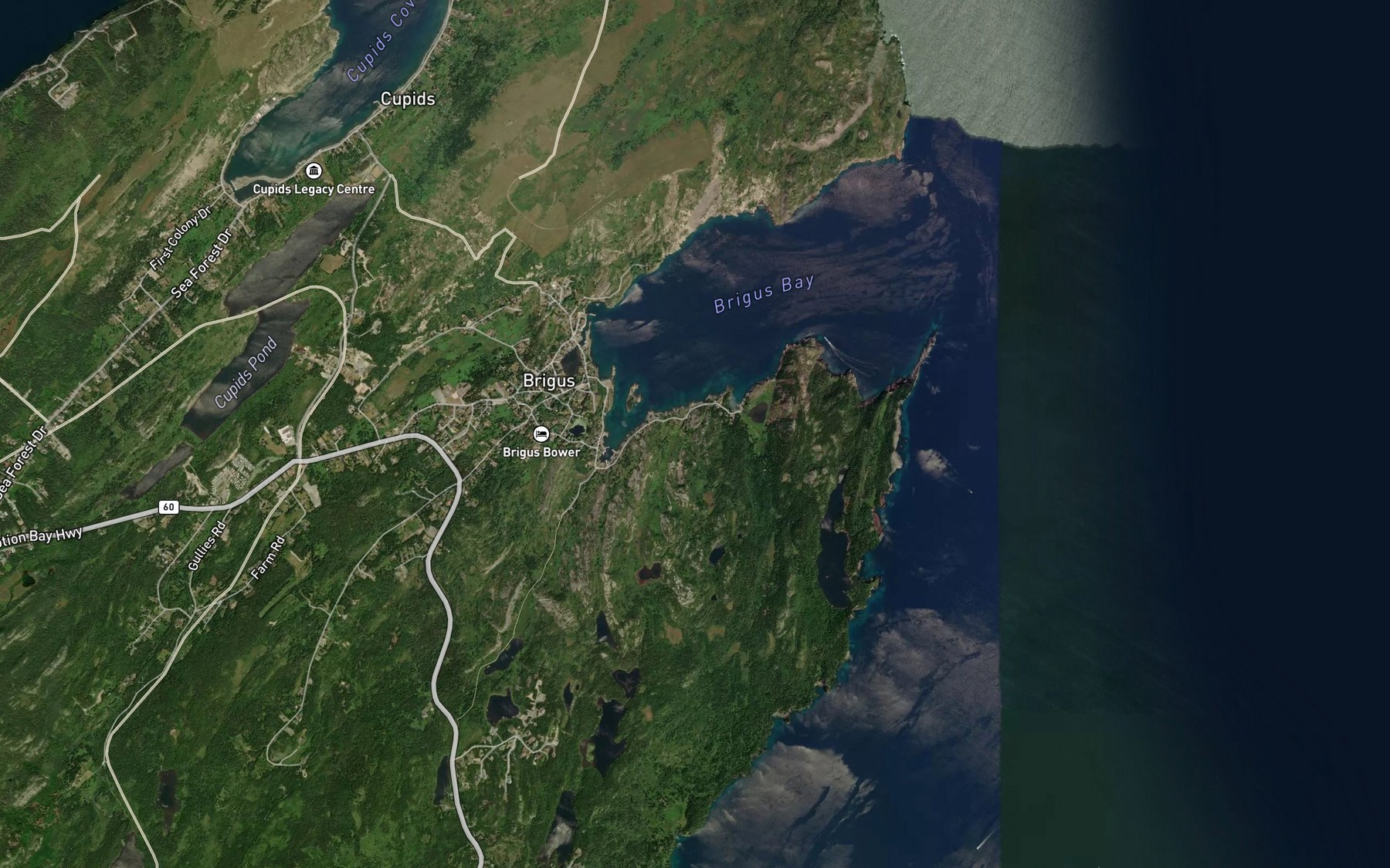 Satellite map of the Drakes Pond