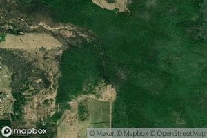 South Branch Herring Creek