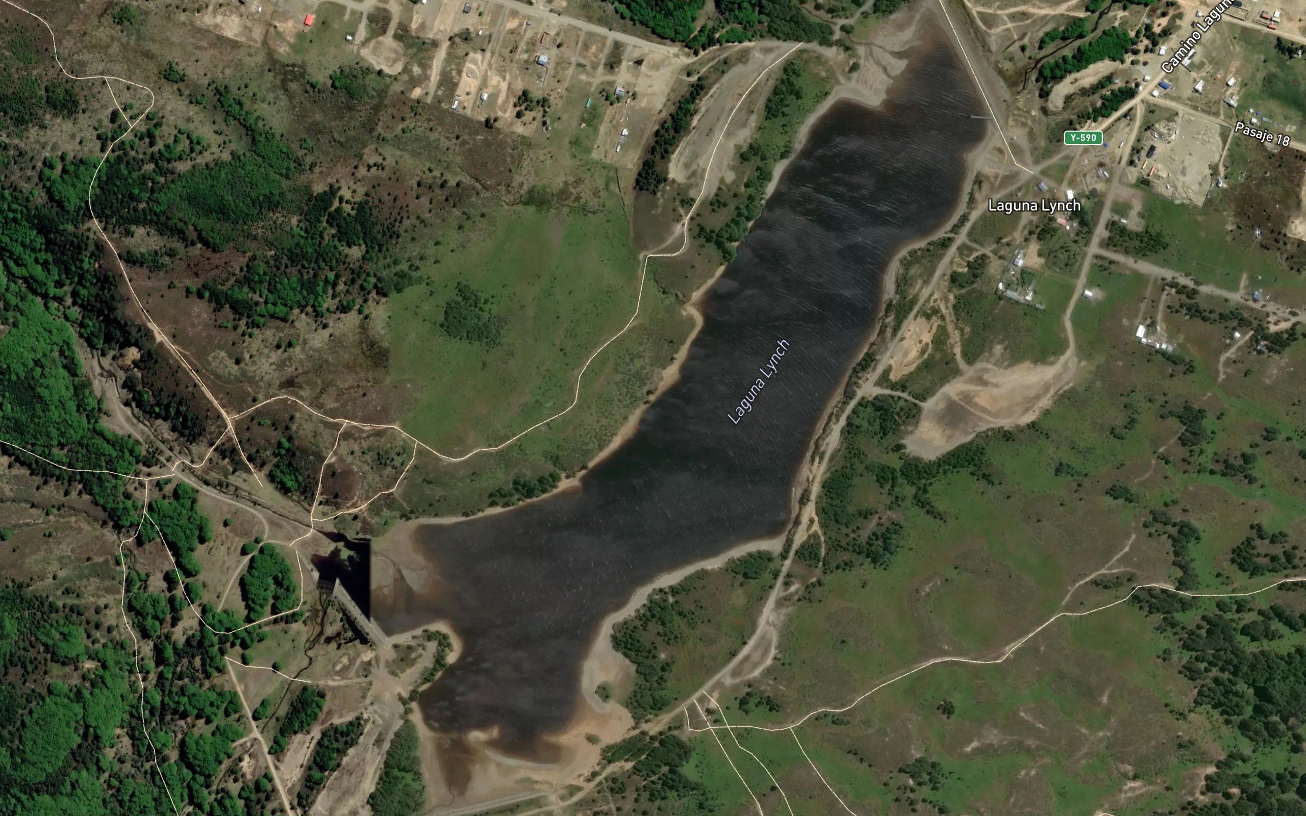 Laguna Lynch