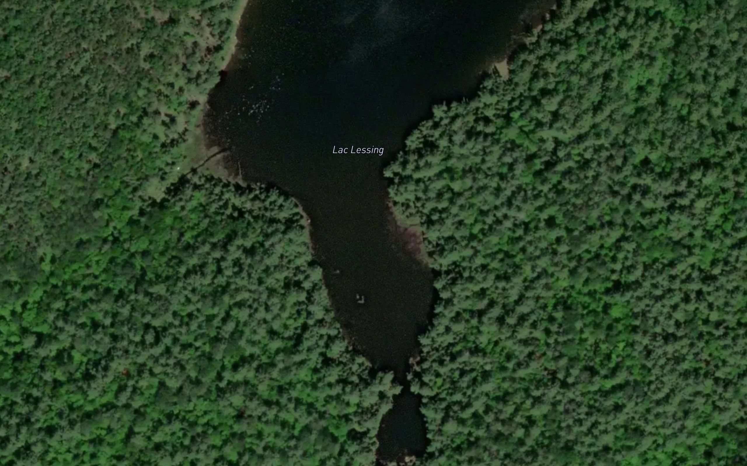 Lac Lessing