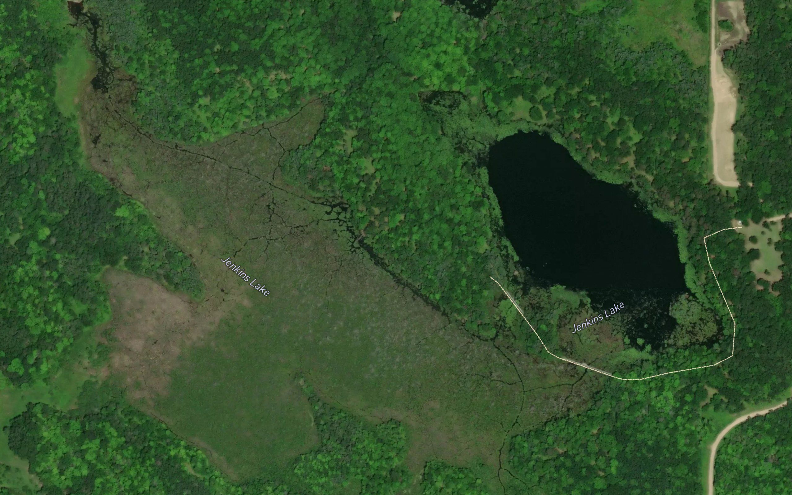 Jenkins Lake