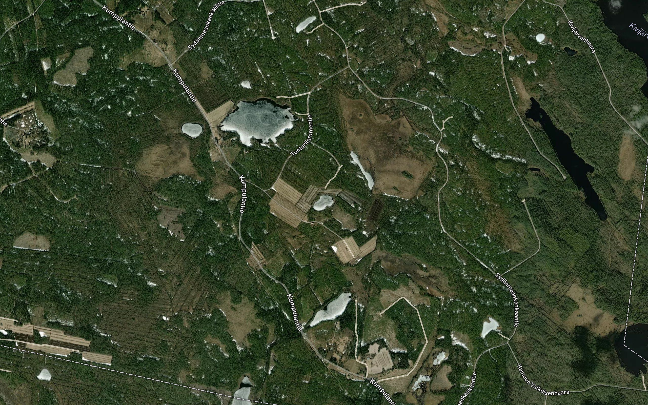 Mertanen