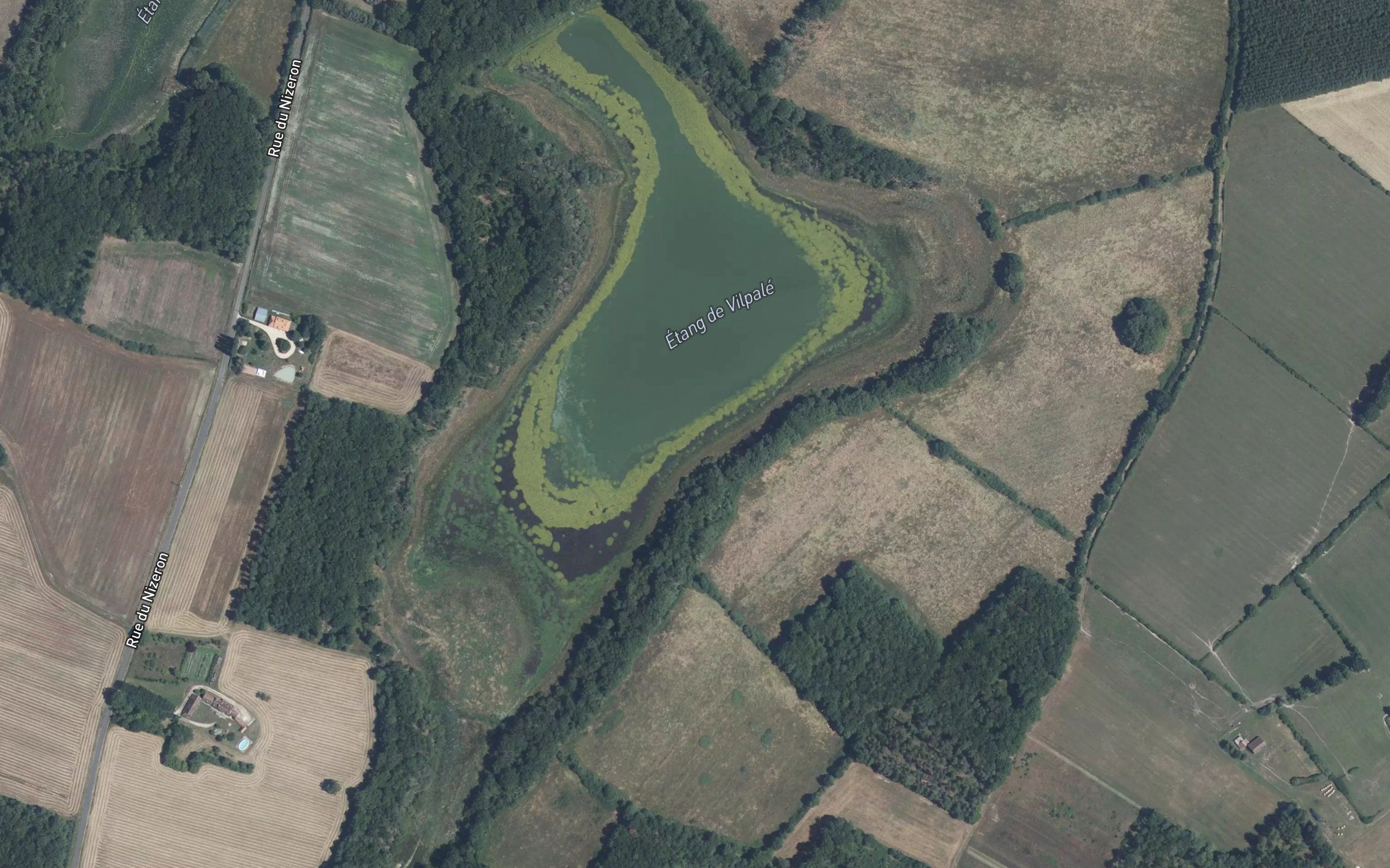 Etang de Vilpale
