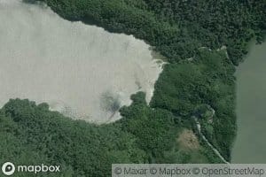 Rio Ballena