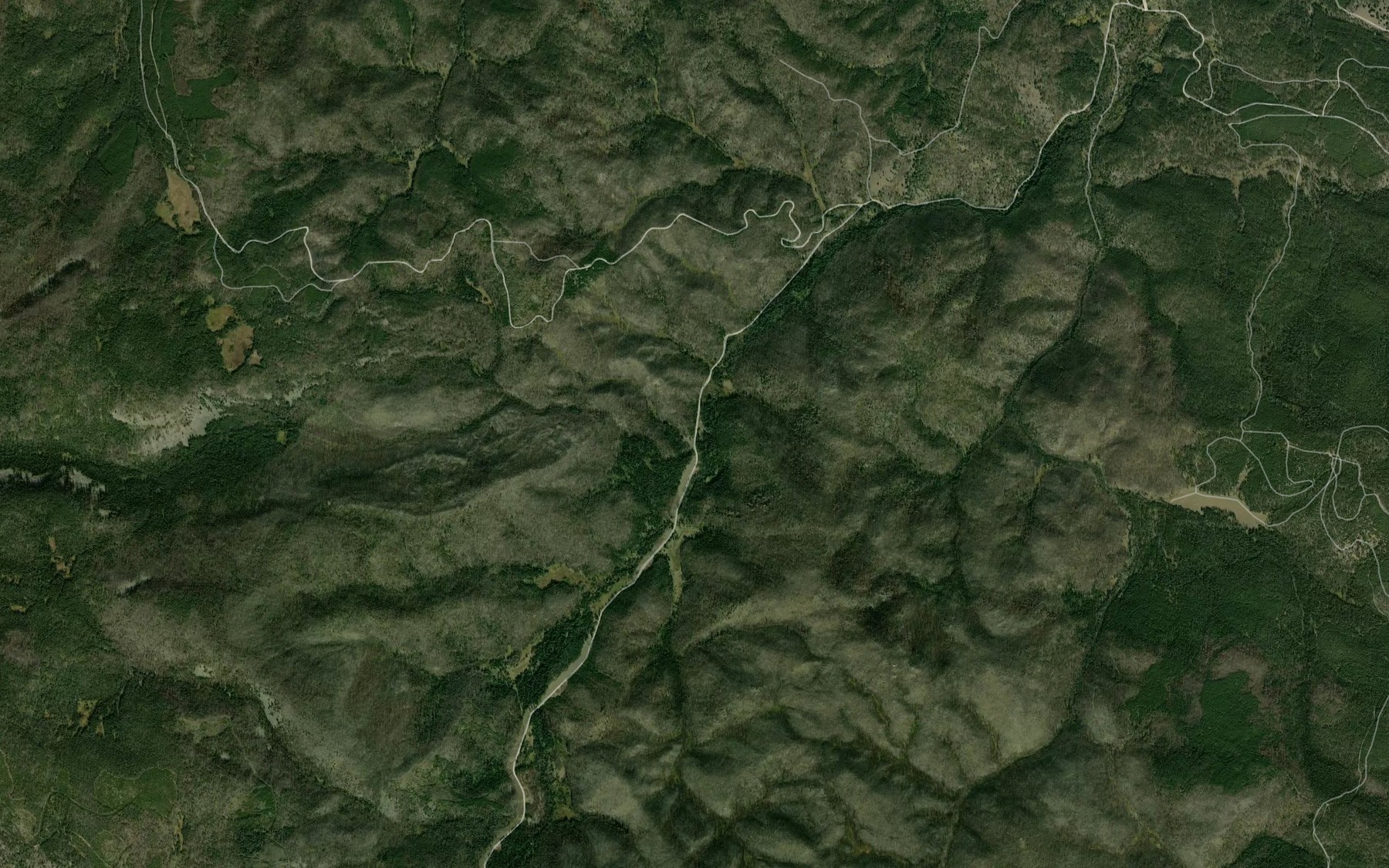 Satellite map of the Hornet Creek