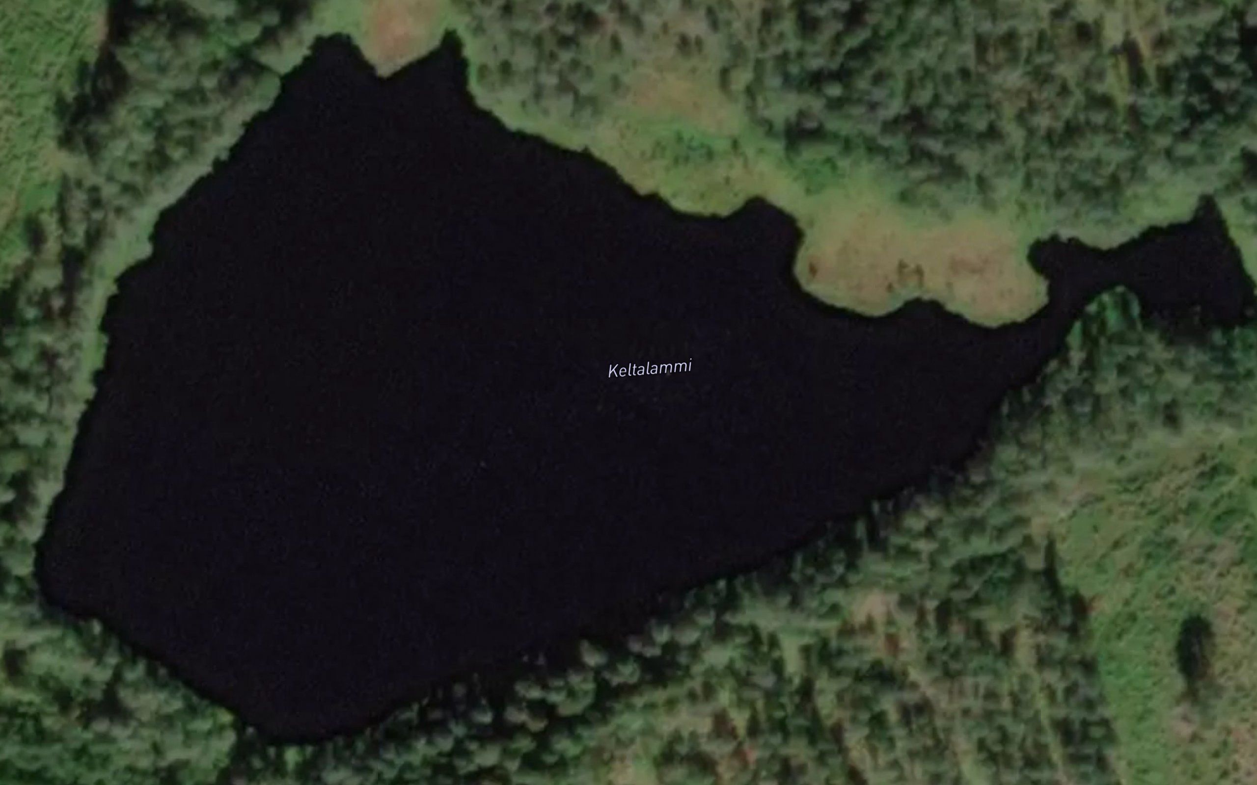 Keltalammi