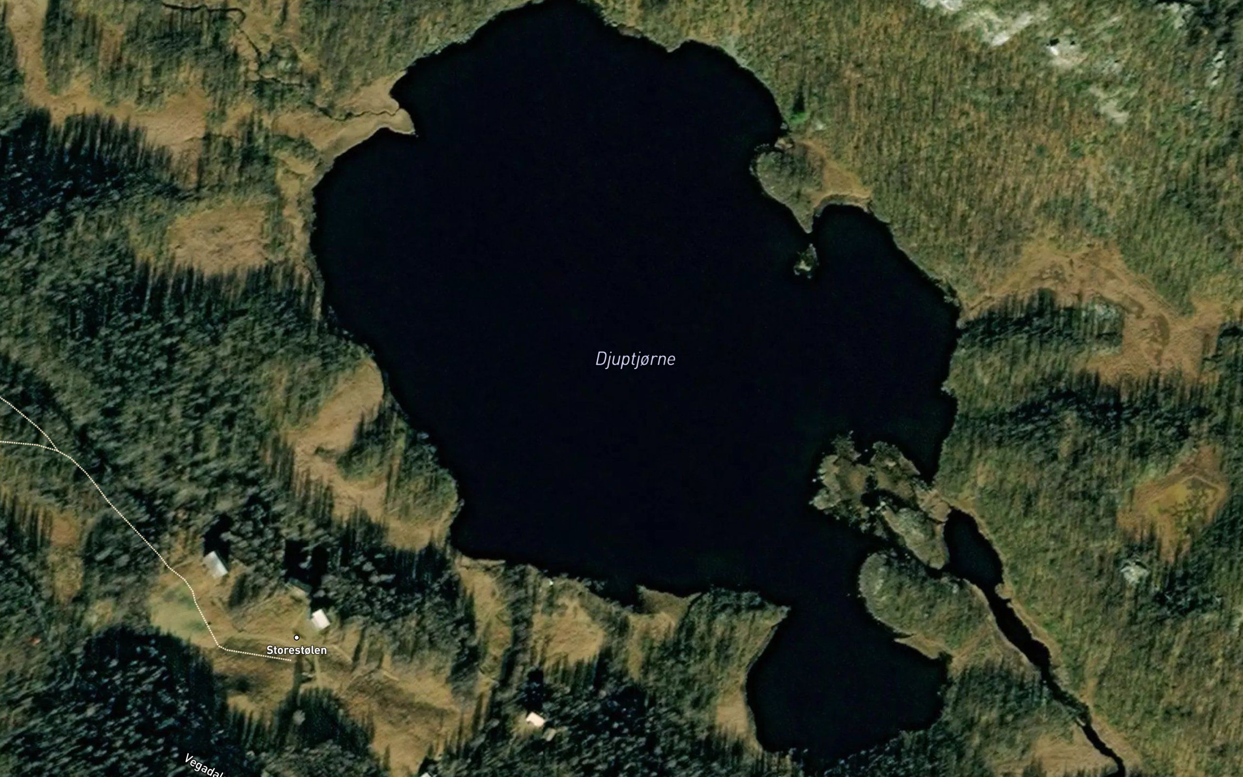 Djuptjodne