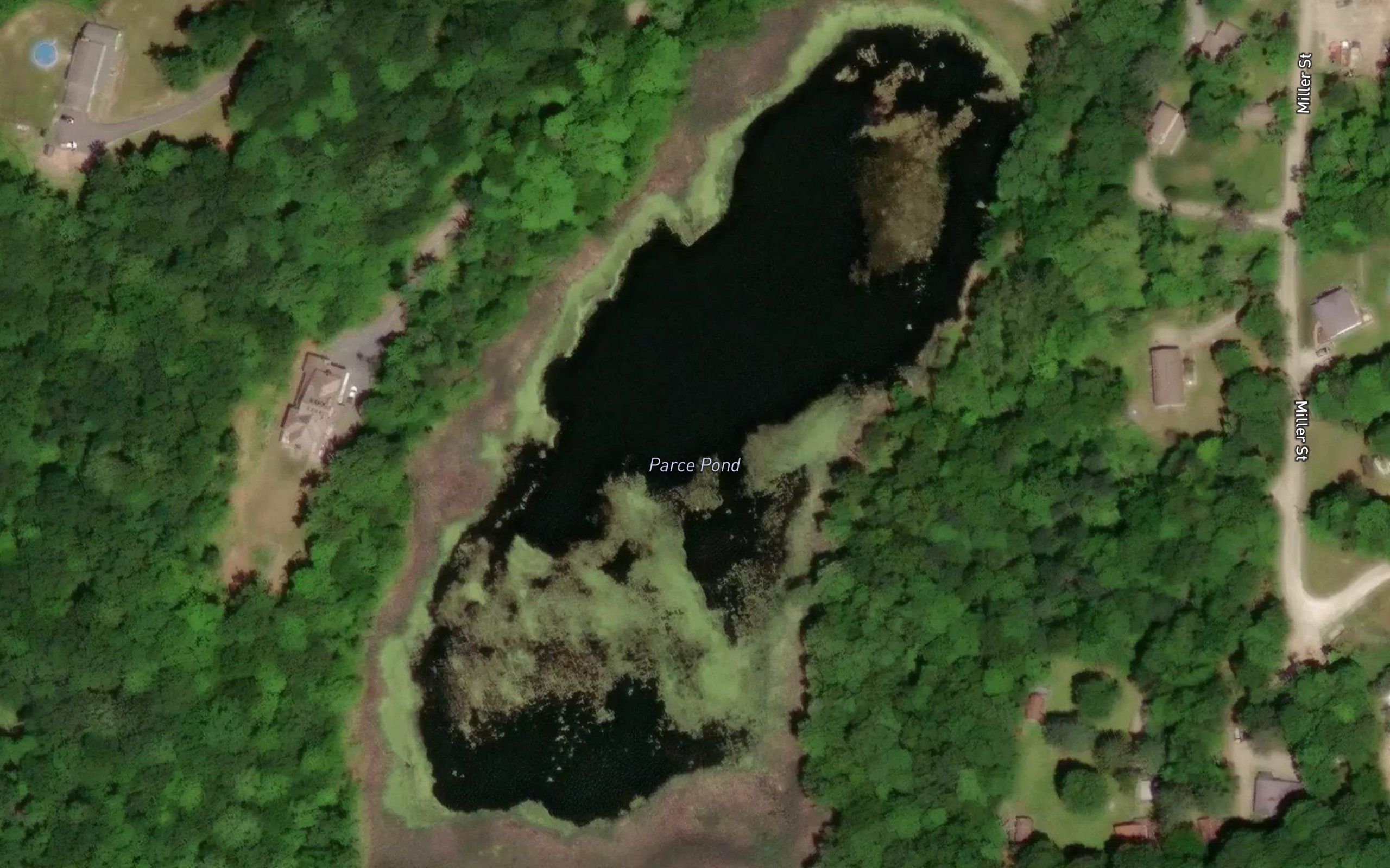 Parce Pond