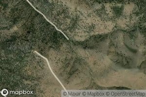 Spaghetti Number One Spring