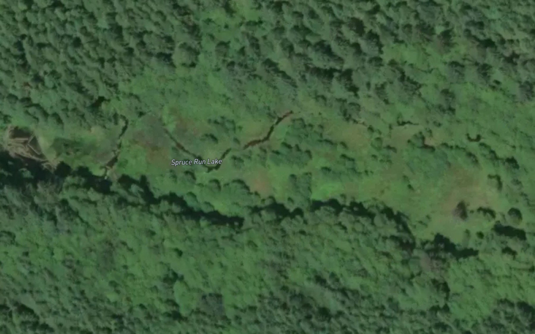 Satellite map of the Spruce Run Lake
