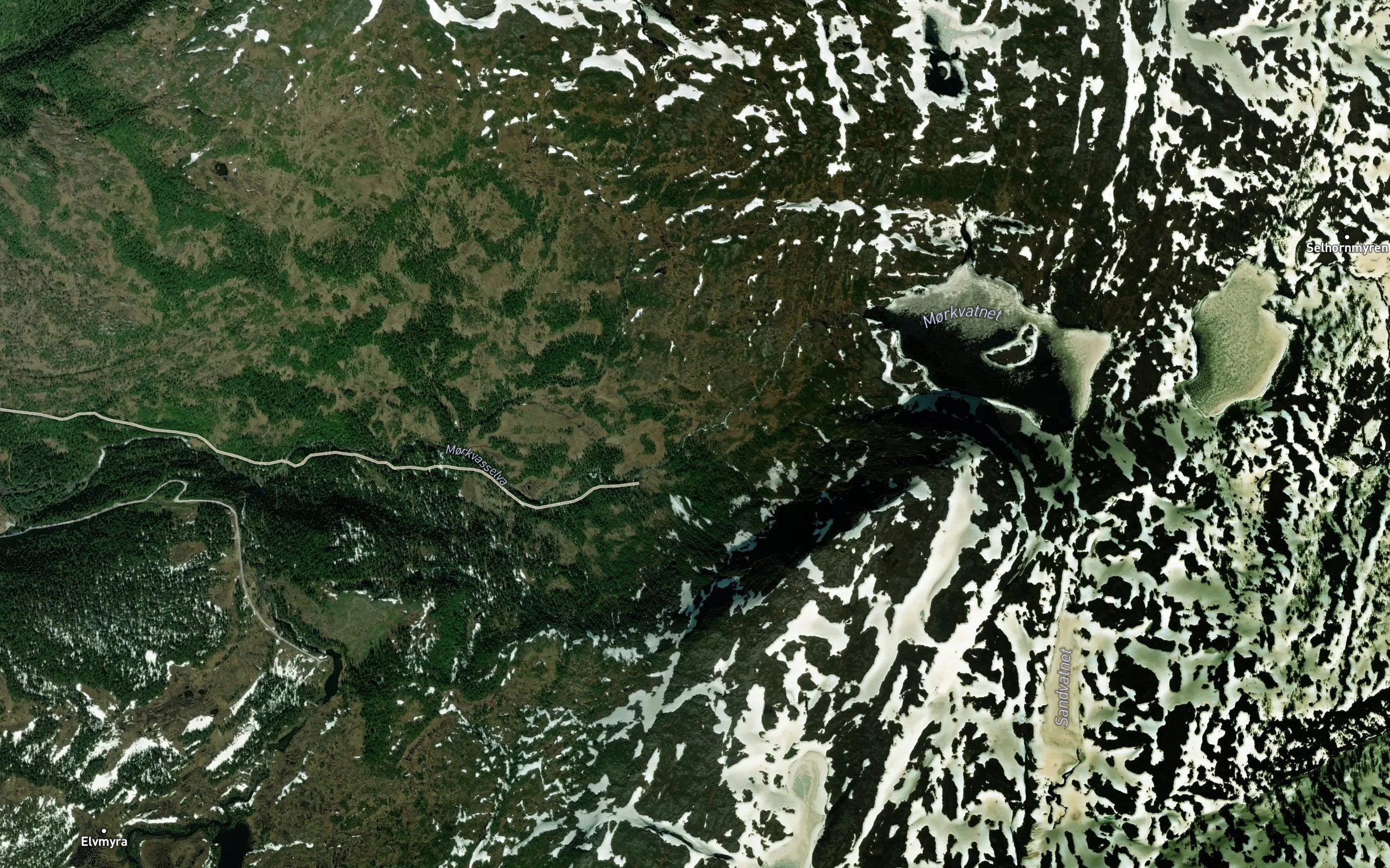 Morkvasselva