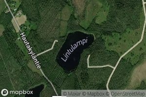 Lintulampi